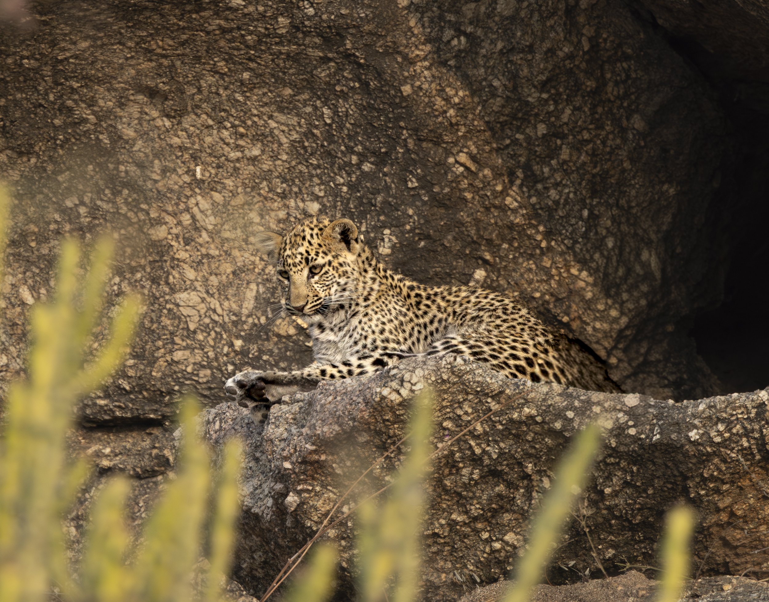 Jamai Day 2 pm-8889.jpg