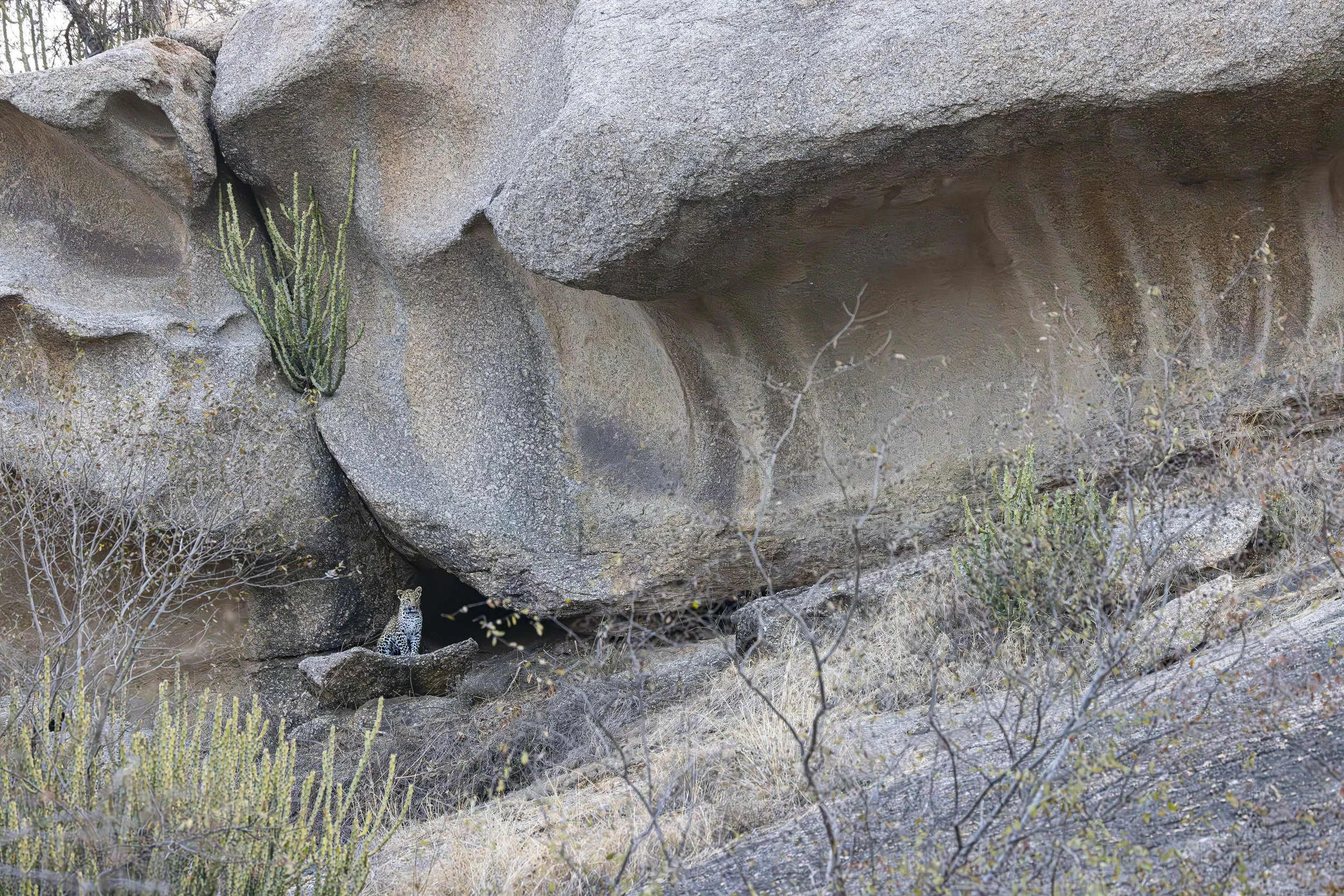 Jamai Day 2 am-8771.jpg