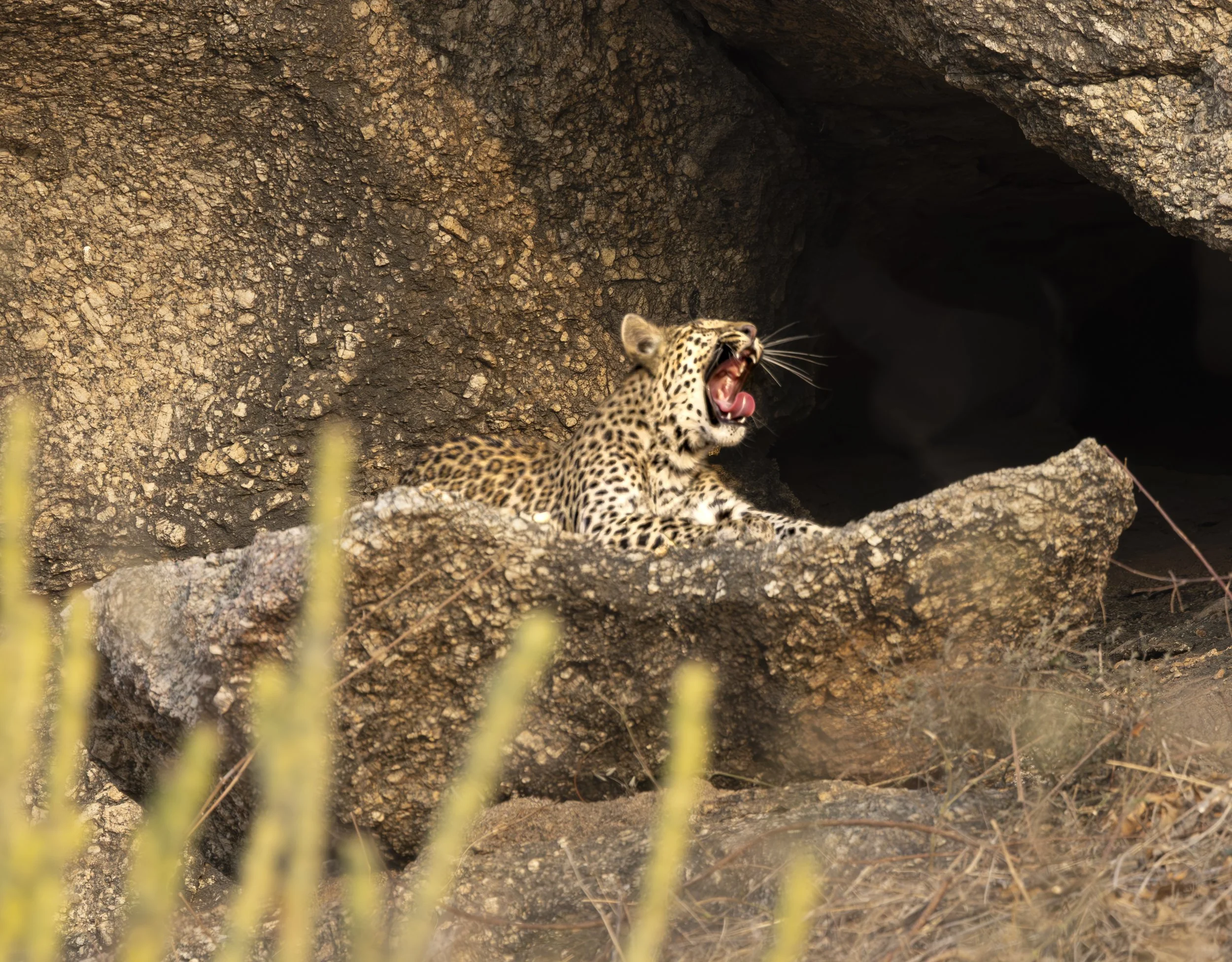 Jamai Day 2 pm-8899.jpg