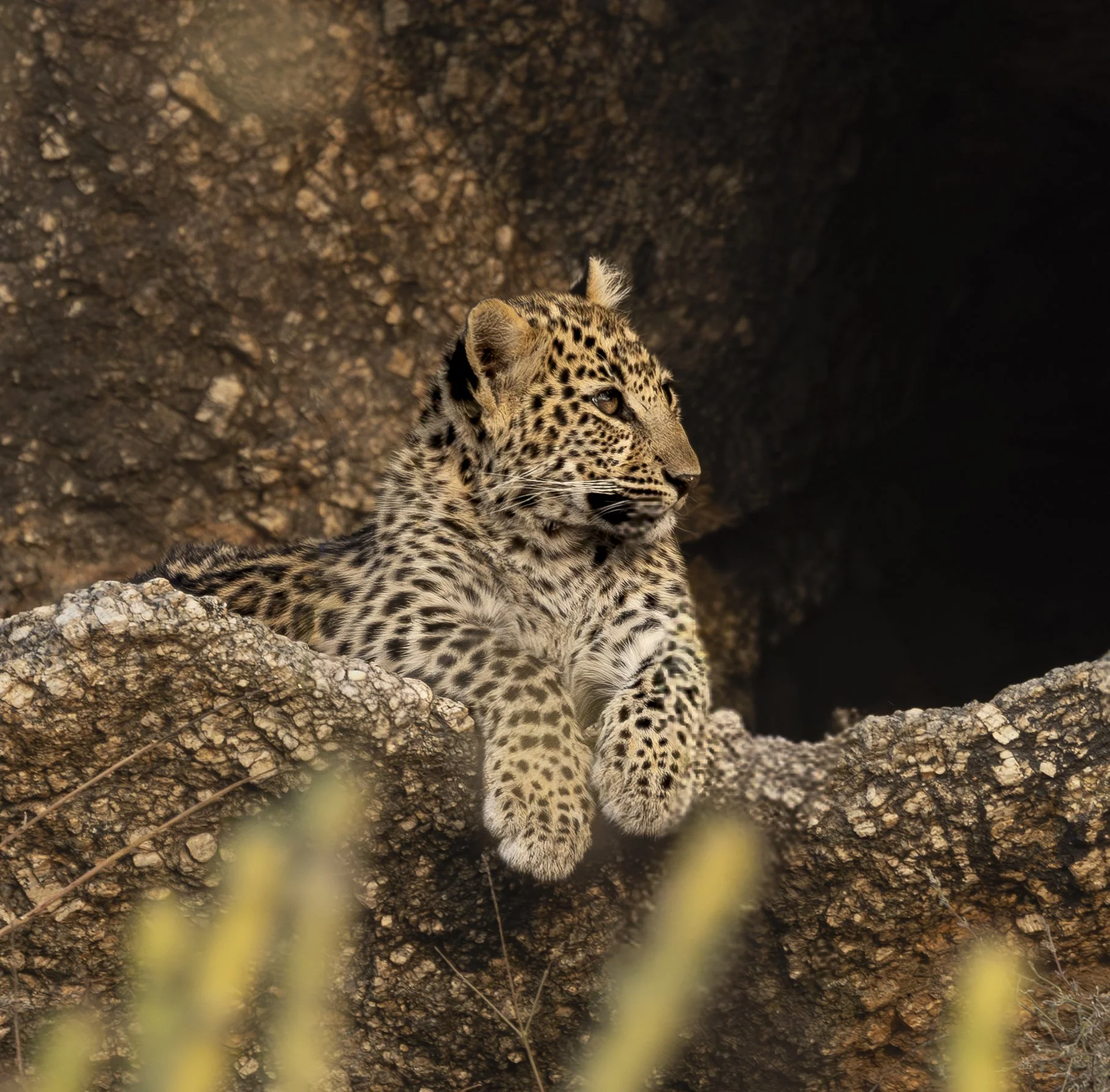 Jamai Day 2 pm-8915.jpg