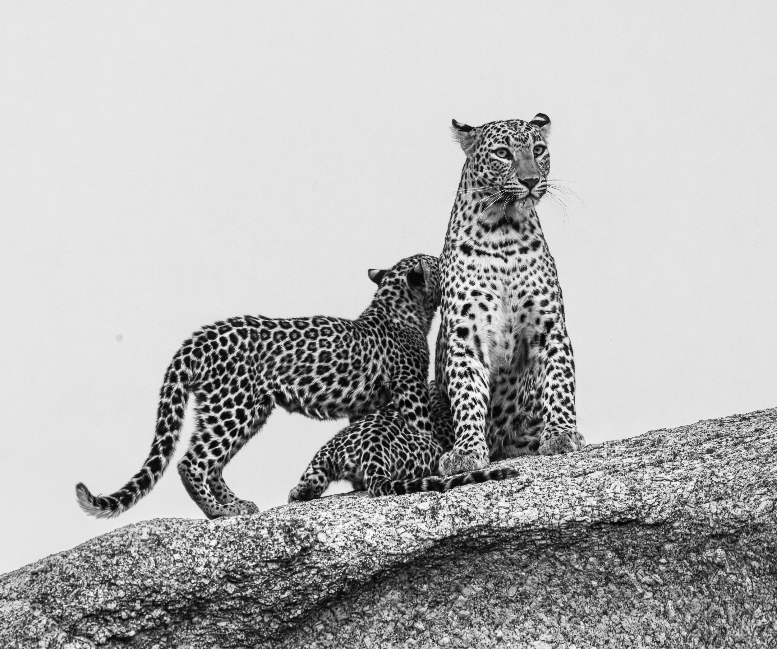 Jamai Day 2 pm-9123.jpg