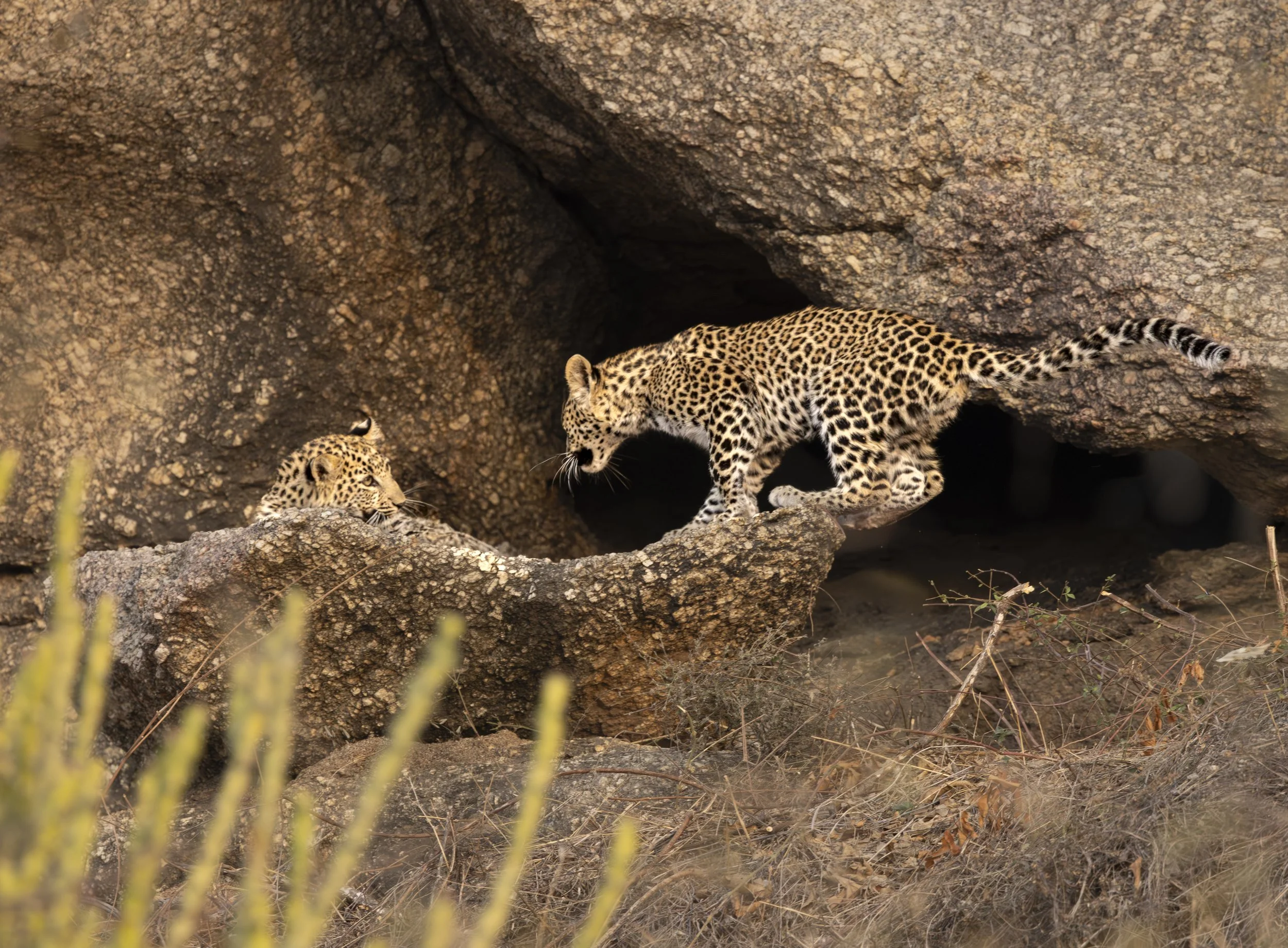 Jamai Day 2 pm-8932.jpg