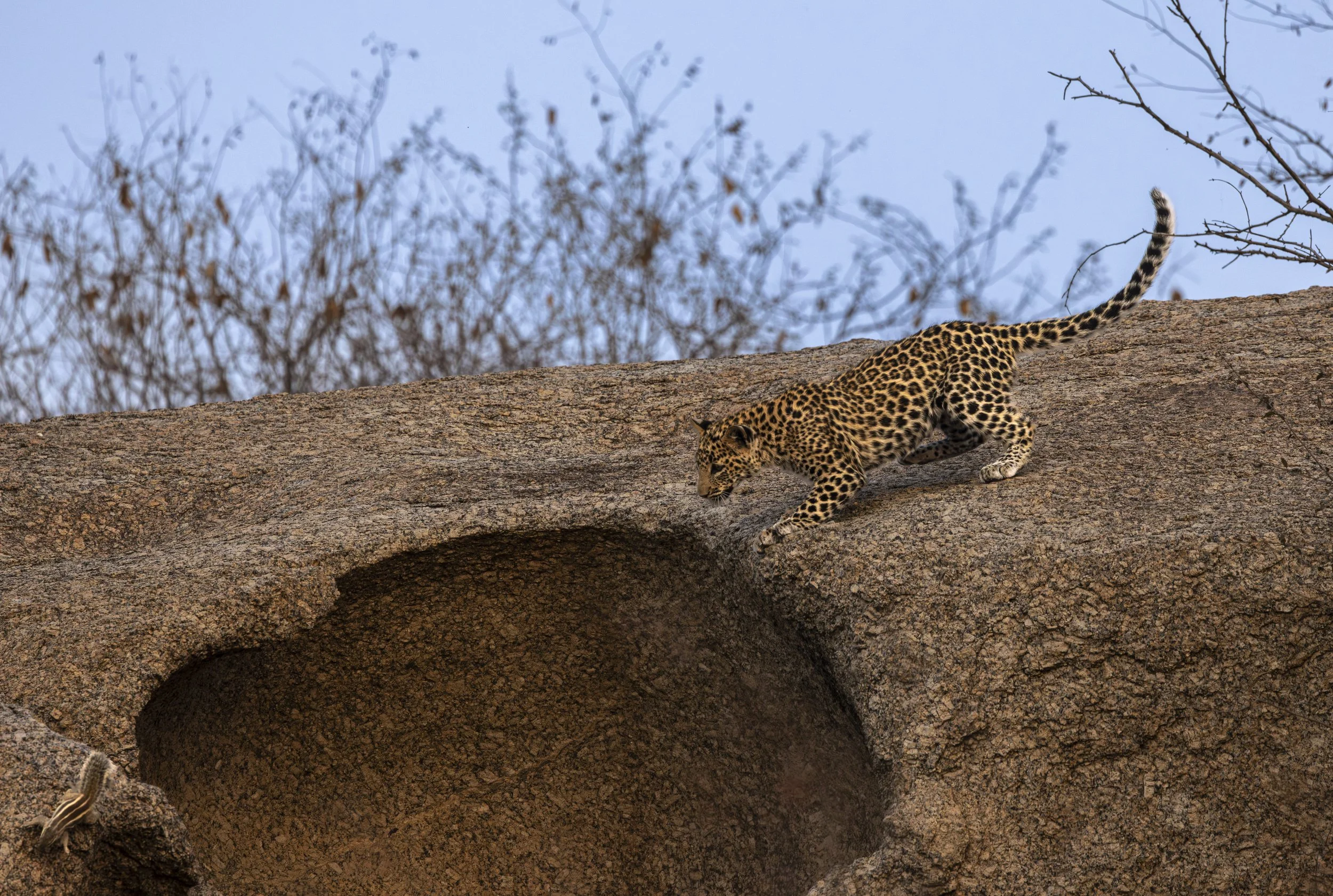 Jamai Day 2 pm-9050.jpg