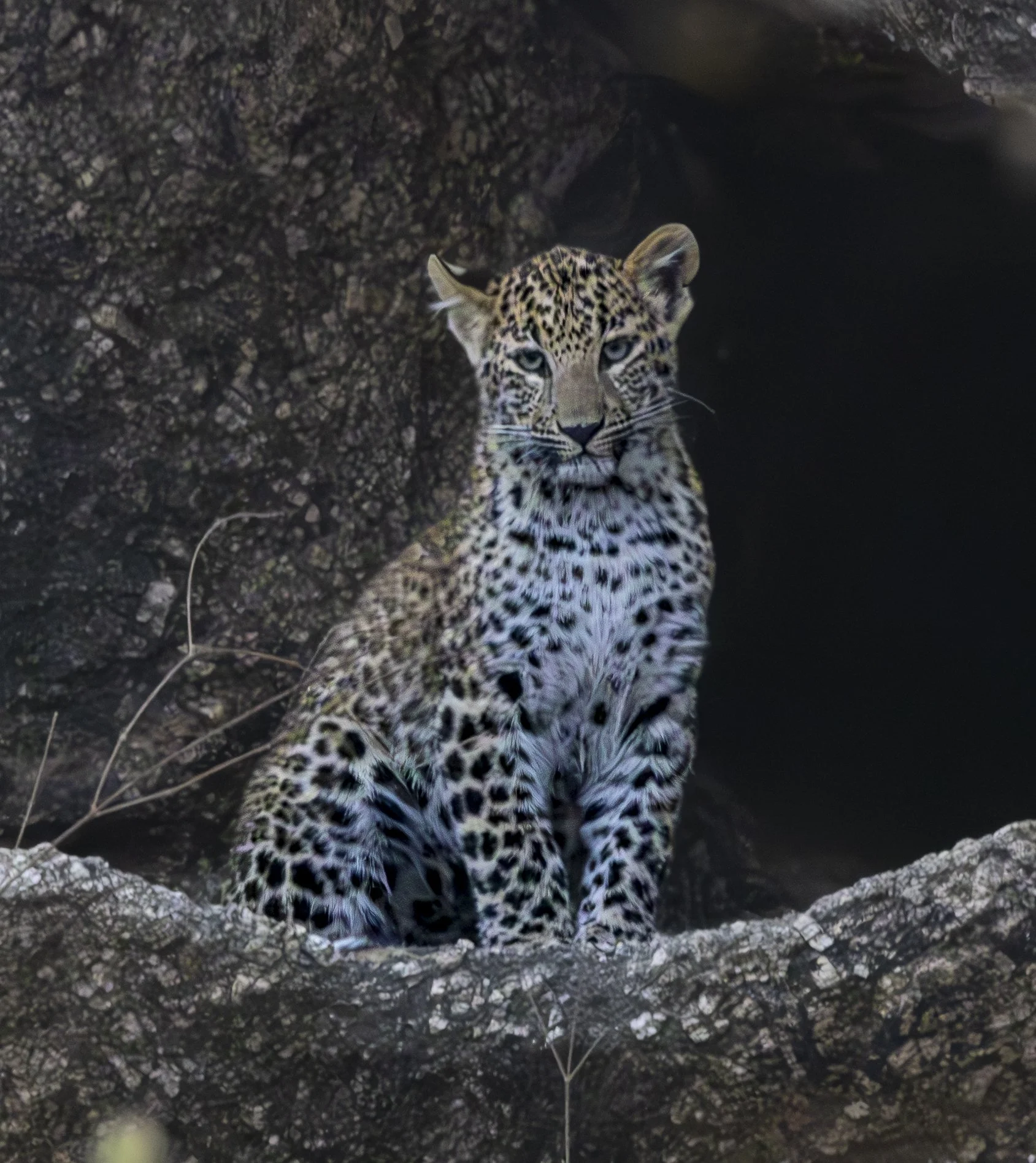 Jamai Day 2 am-8742.jpg