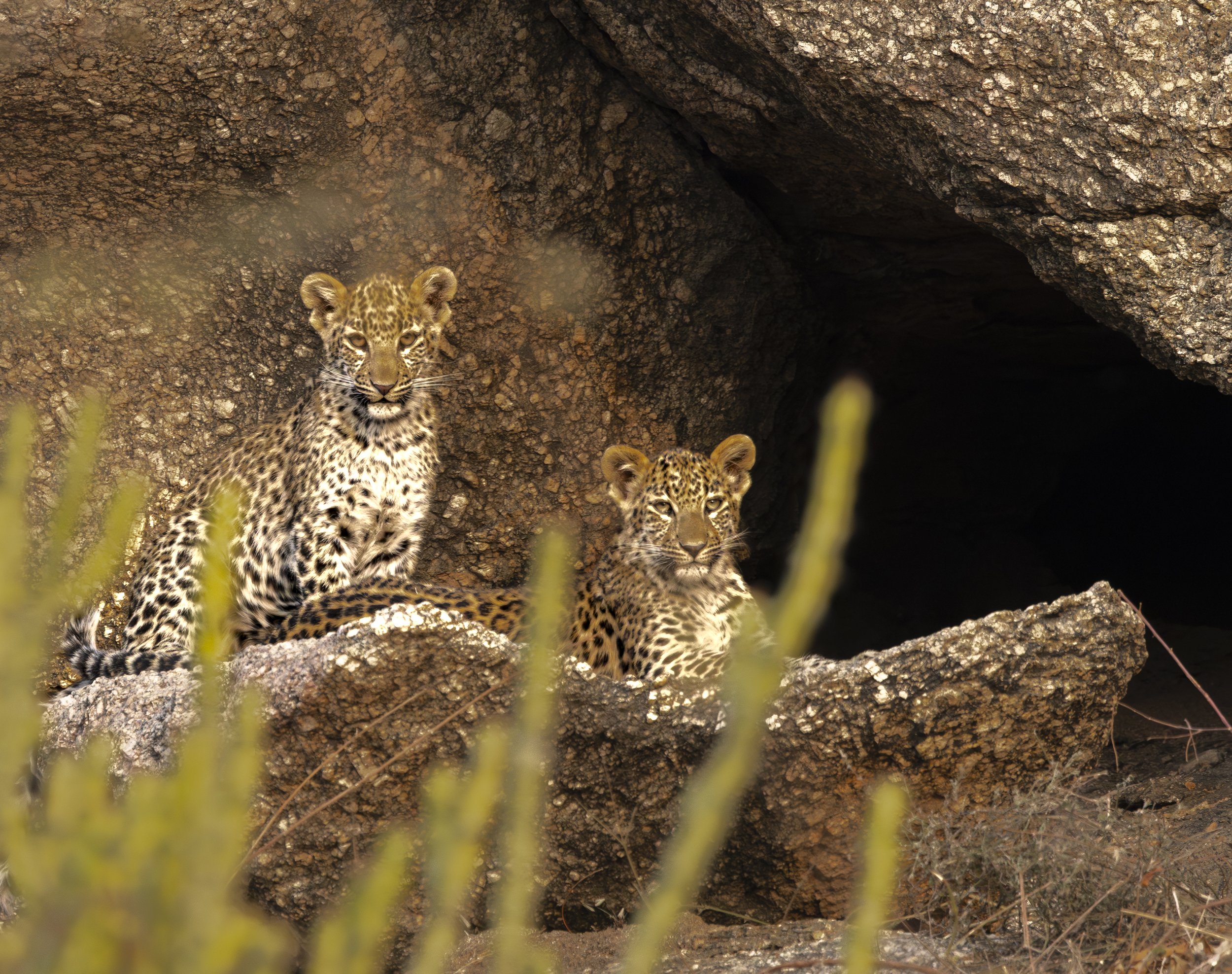 Jamai Day 2 pm-8967.jpg