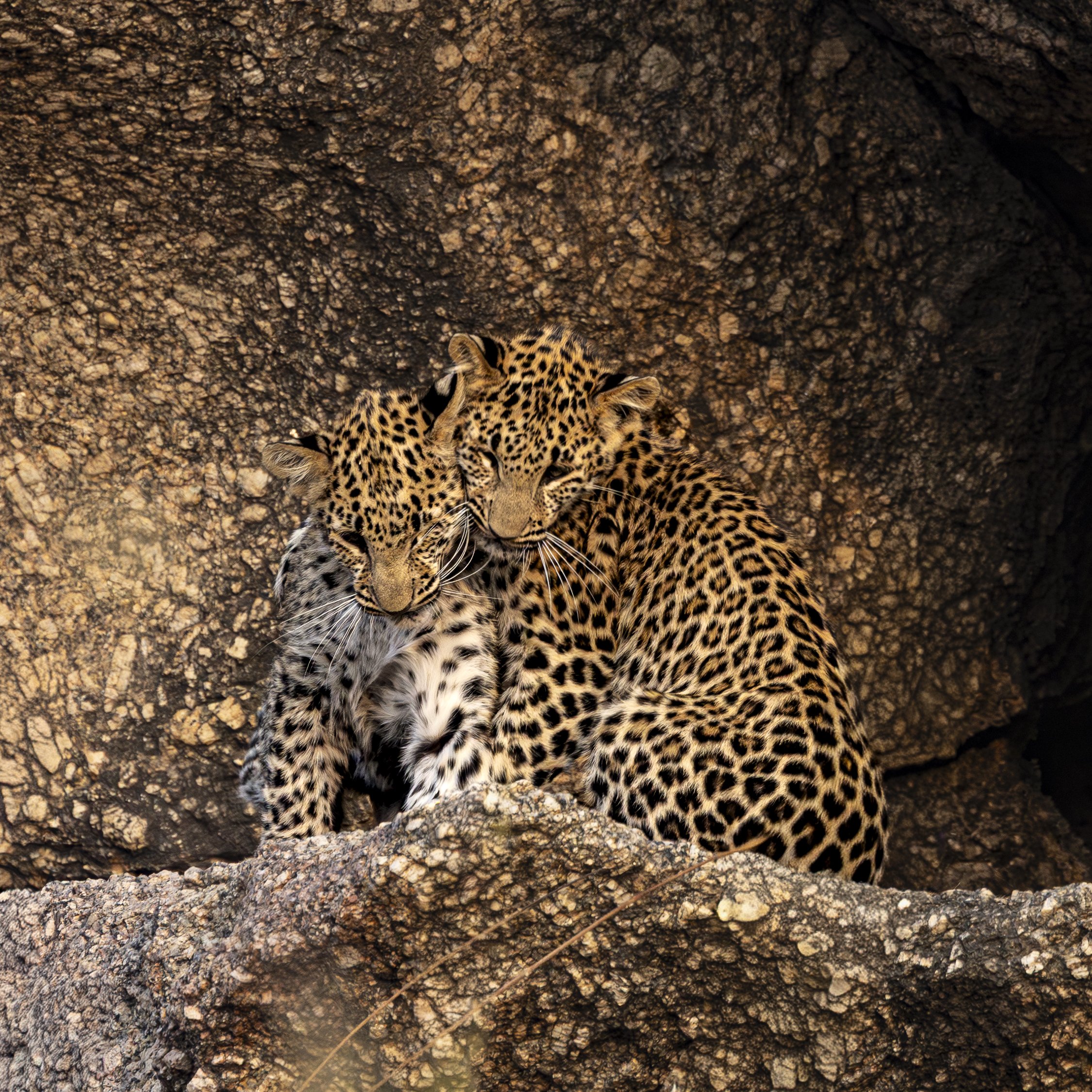 Jamai Day 2 pm-8949.jpg