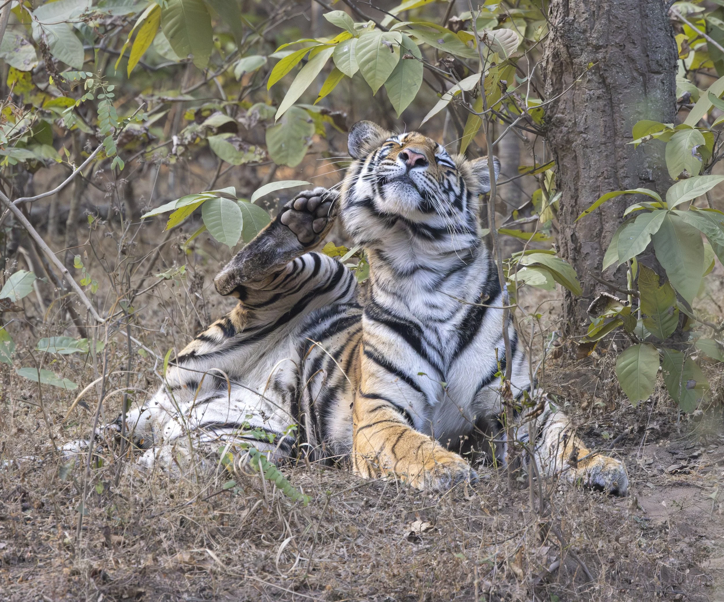 Samode Lodge Day 2-5670.jpg