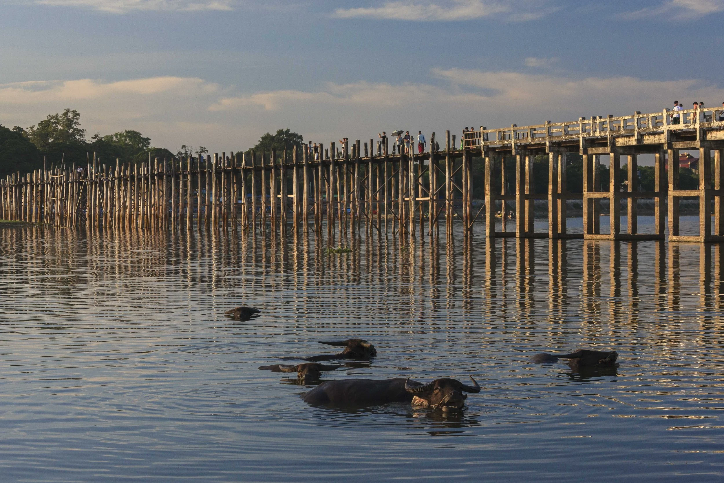 Mandalay - U Bein Bridge-2047.jpg