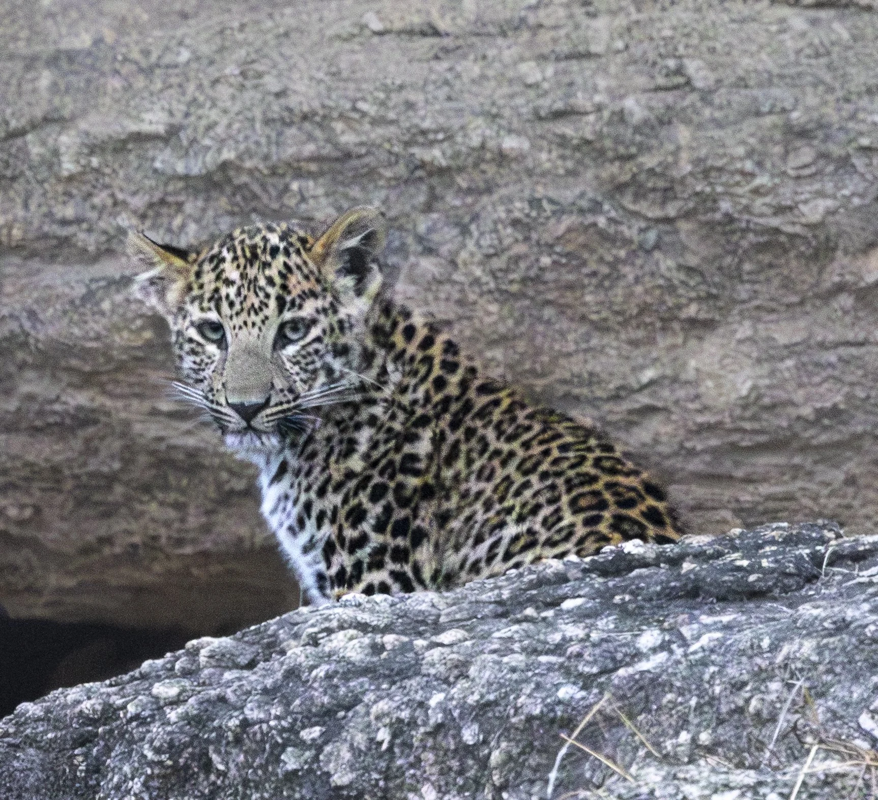 Jamai Day 2 am-8713.jpg