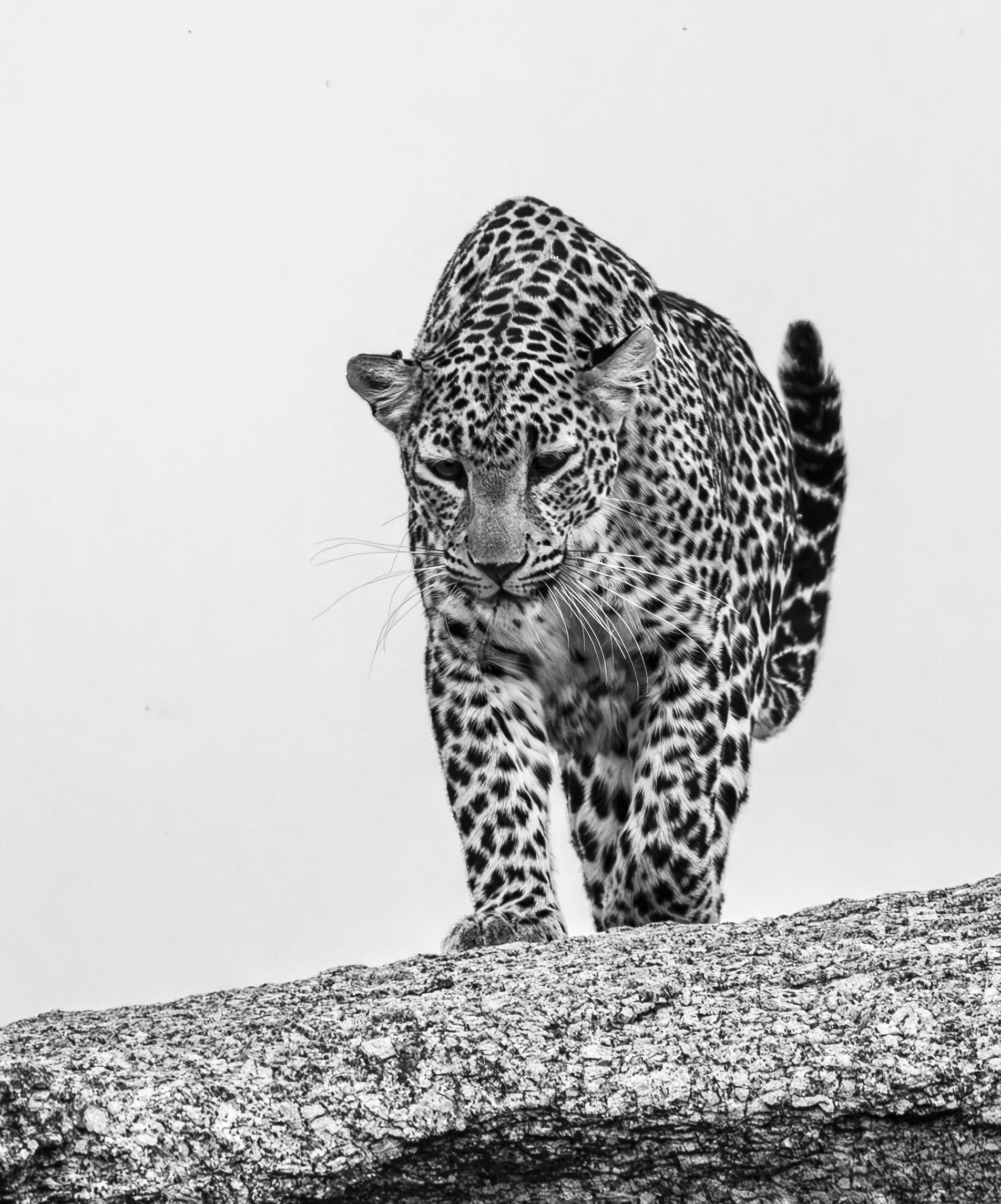 Jamai Day 2 pm-9083.jpg