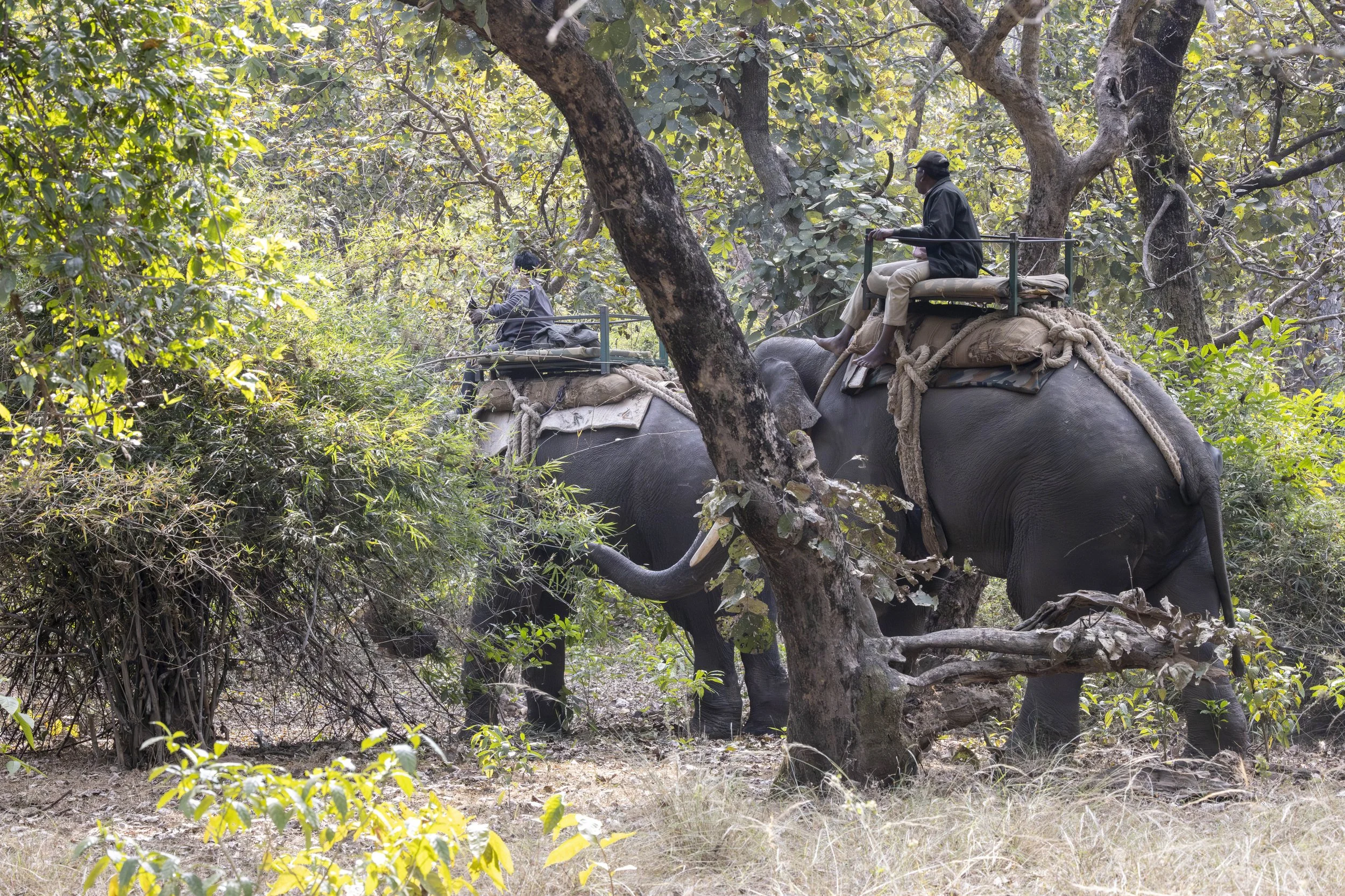 Samode Lodge Day 2-5143.jpg