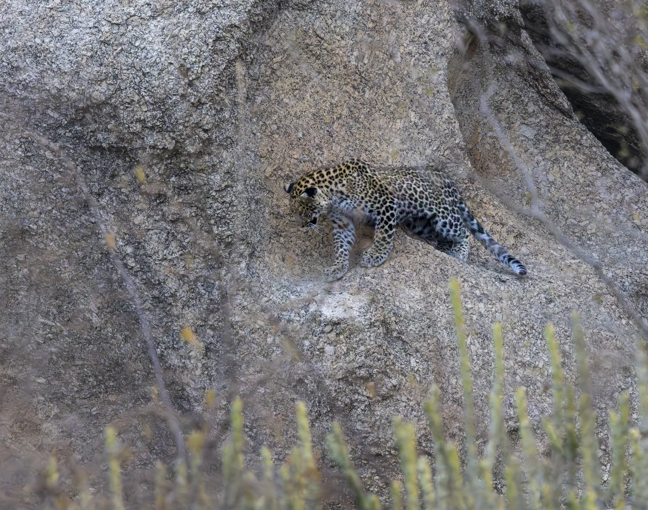 Jamai Day 2 am-8786.jpg