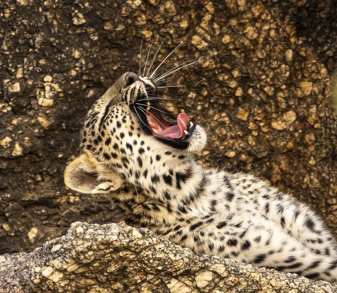 Jamai Day 2 pm-8922.jpg