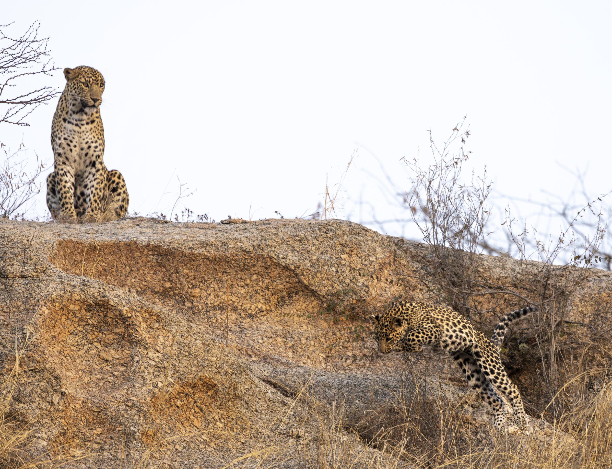 Jamai Day 2 pm-9035.jpg