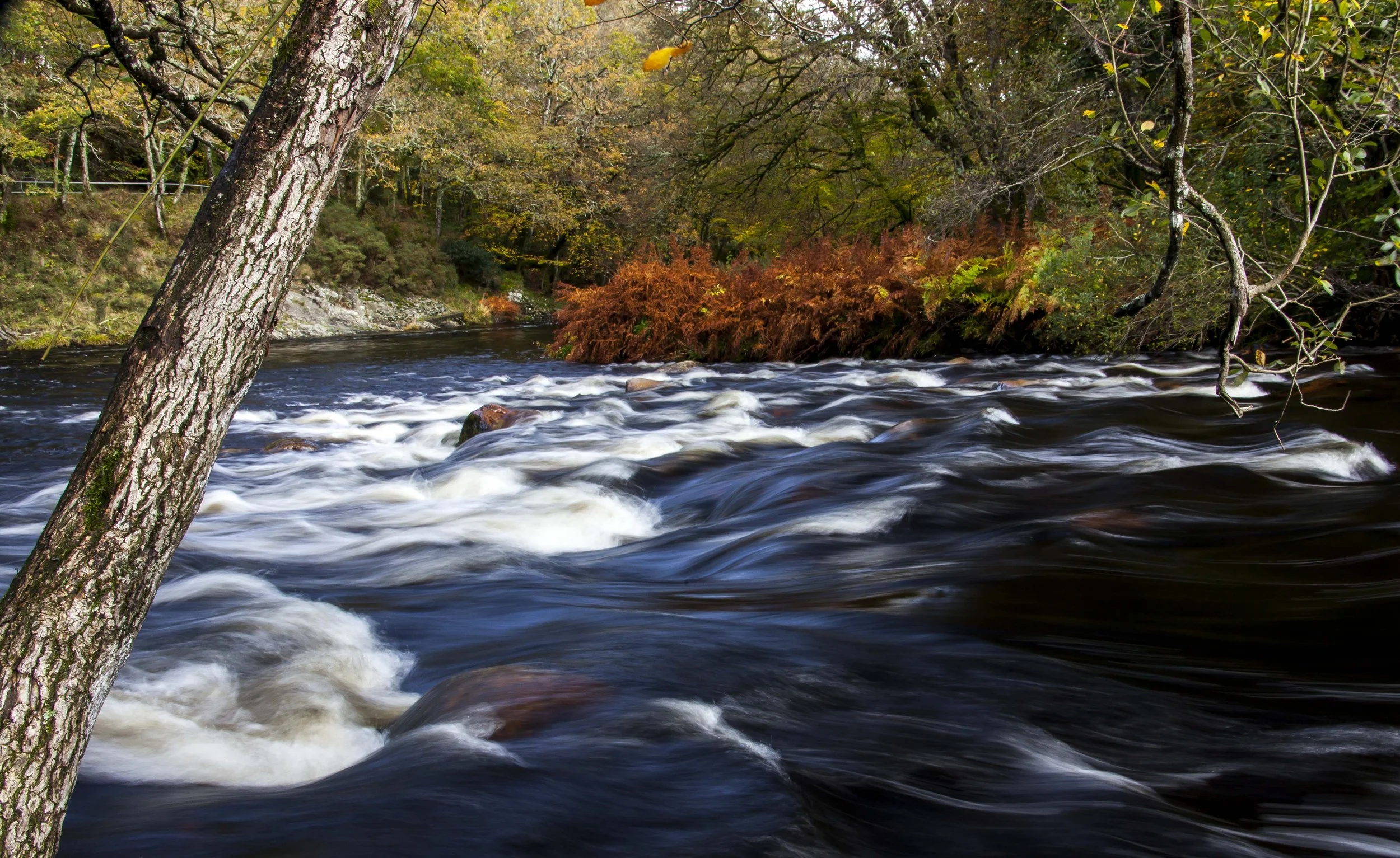 River Exe tributary