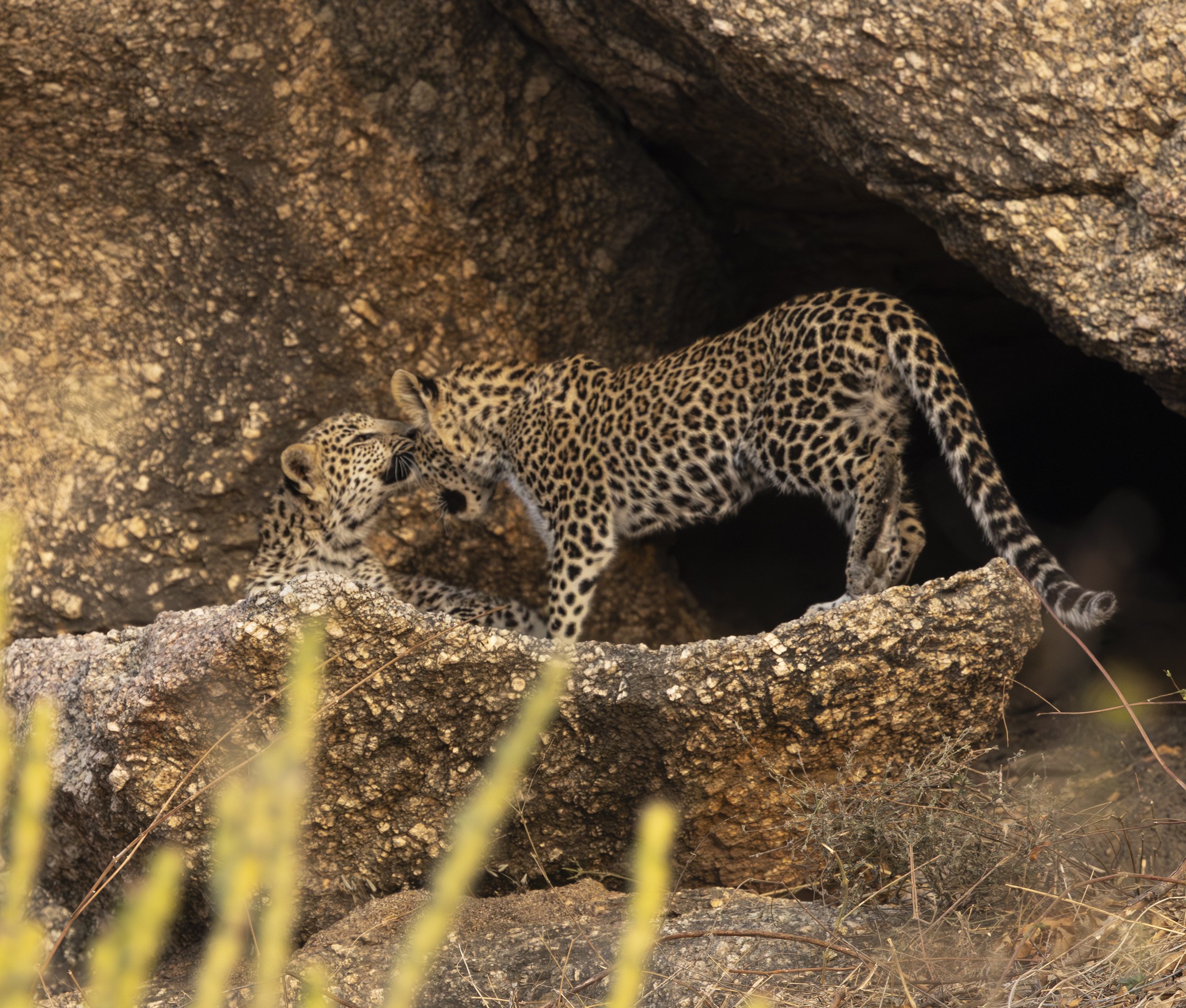 Jamai Day 2 pm-8936.jpg