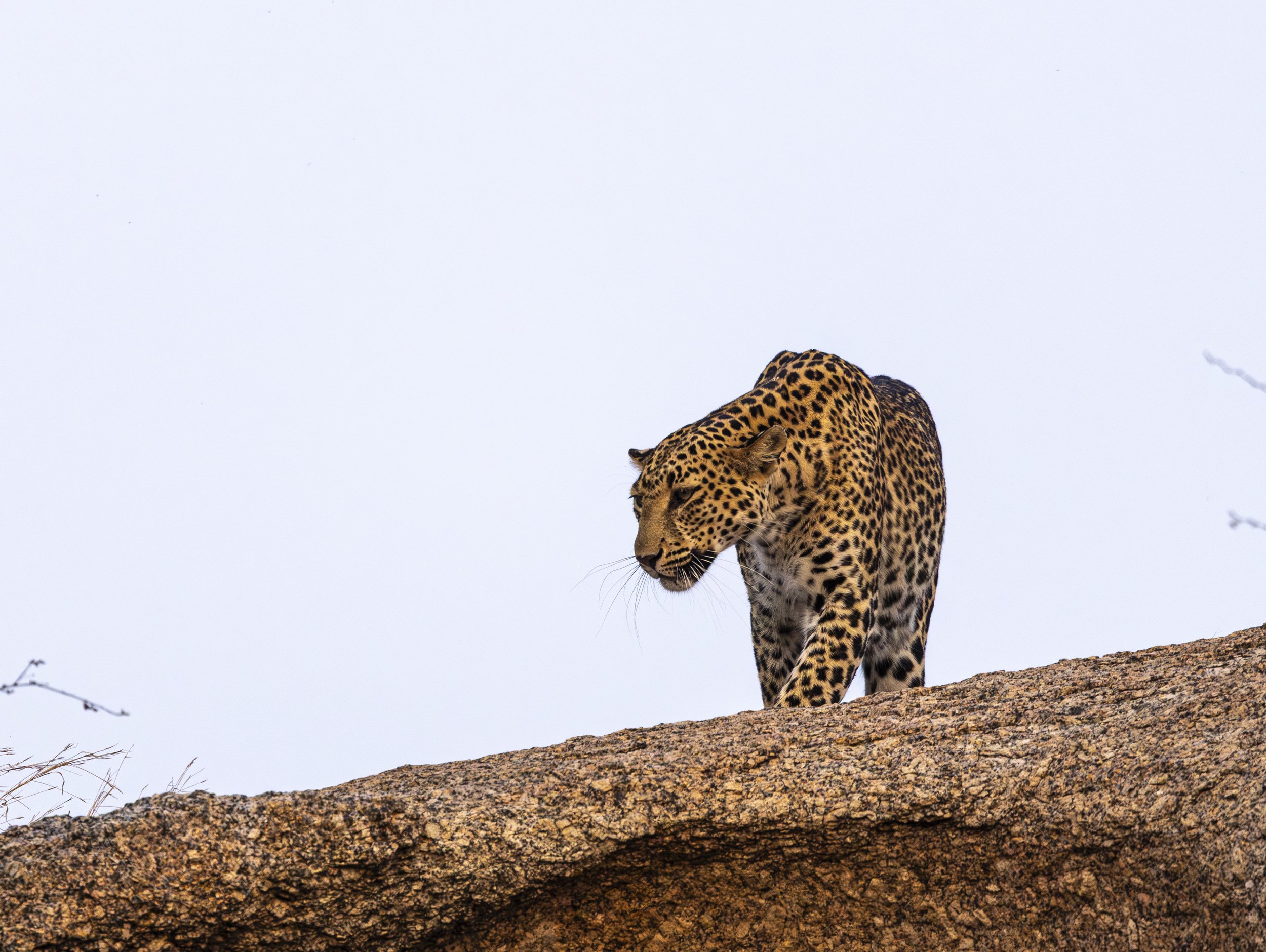 Jamai Day 2 pm-9080.jpg