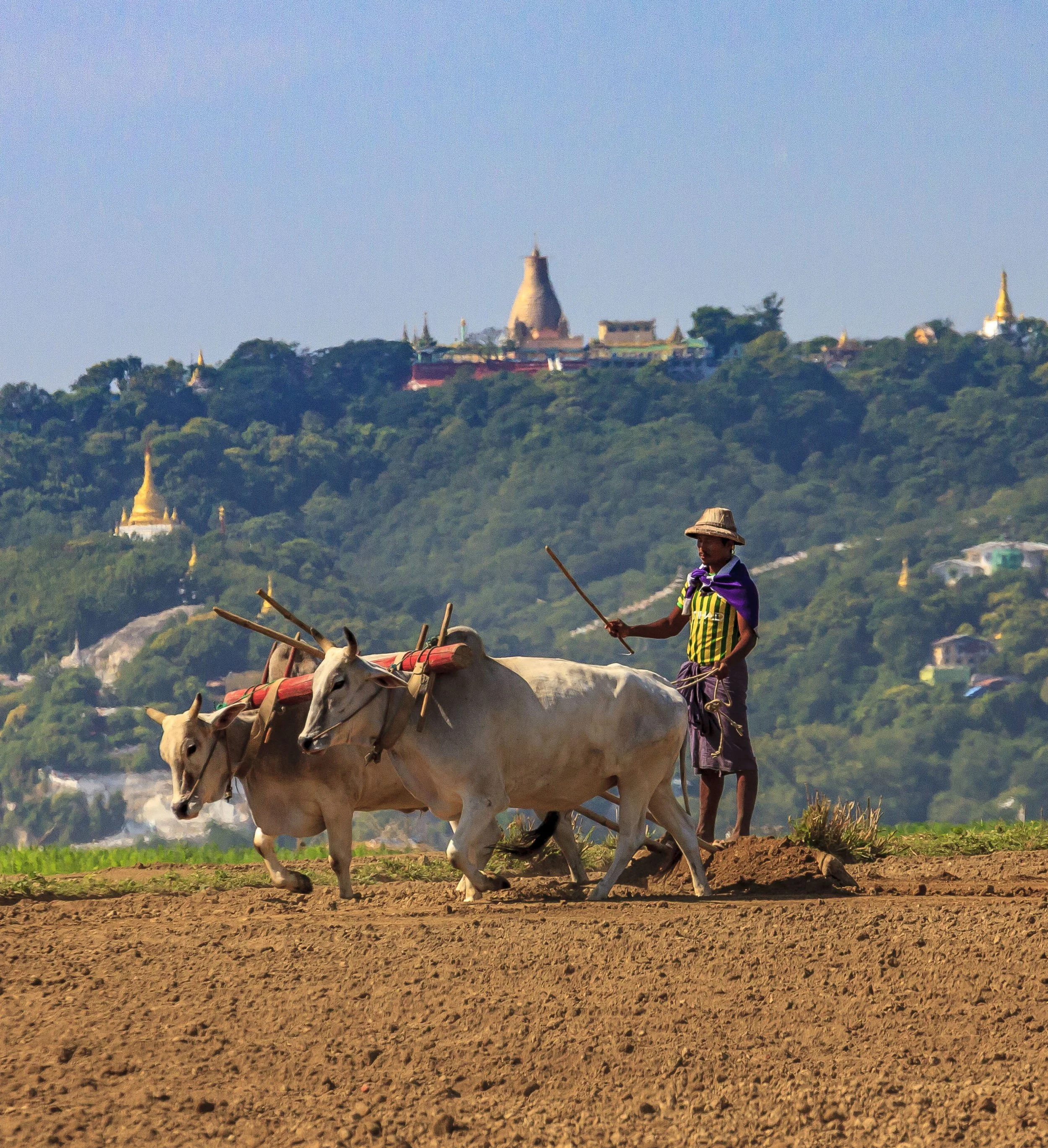 Mandalay - Sagaing Hills-1909.jpg