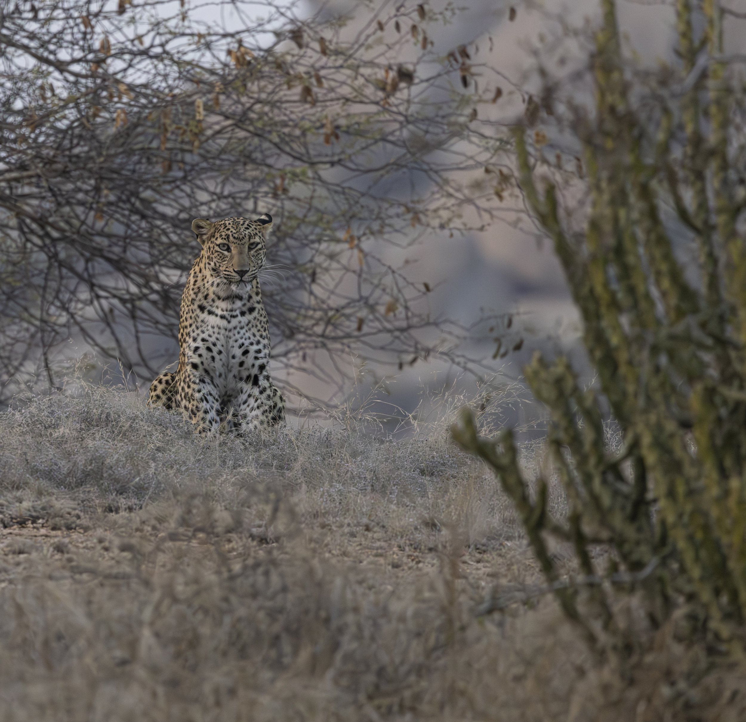 Jamai Day 2 pm-9136.jpg