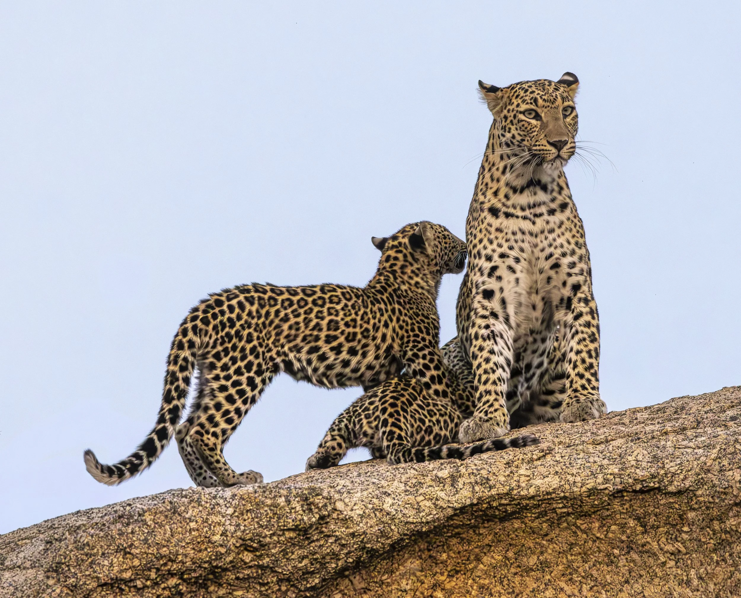 Jamai Day 2 pm-9124.jpg