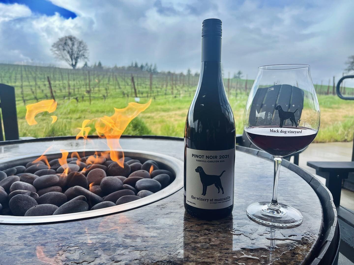 Sure, it&rsquo;s a grey Spring day. But that just means it&rsquo;s perfect for a little Pinot by the Pit!

All three of our patio fire pits can be covered by retractable awnings to protect you from the elements, rain or shine! And these fire pits are