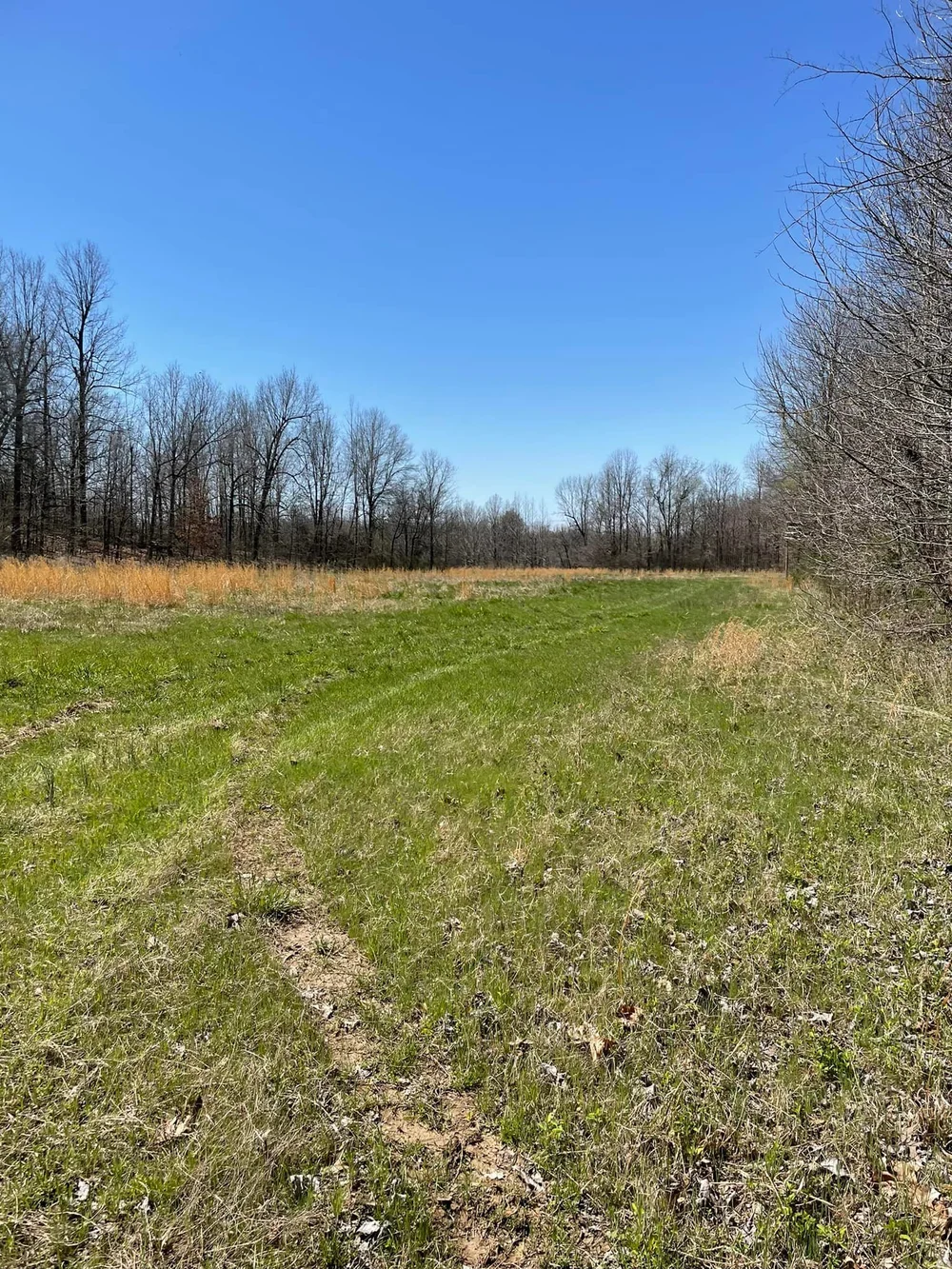 20 Acres — Forrest Realty Solutions