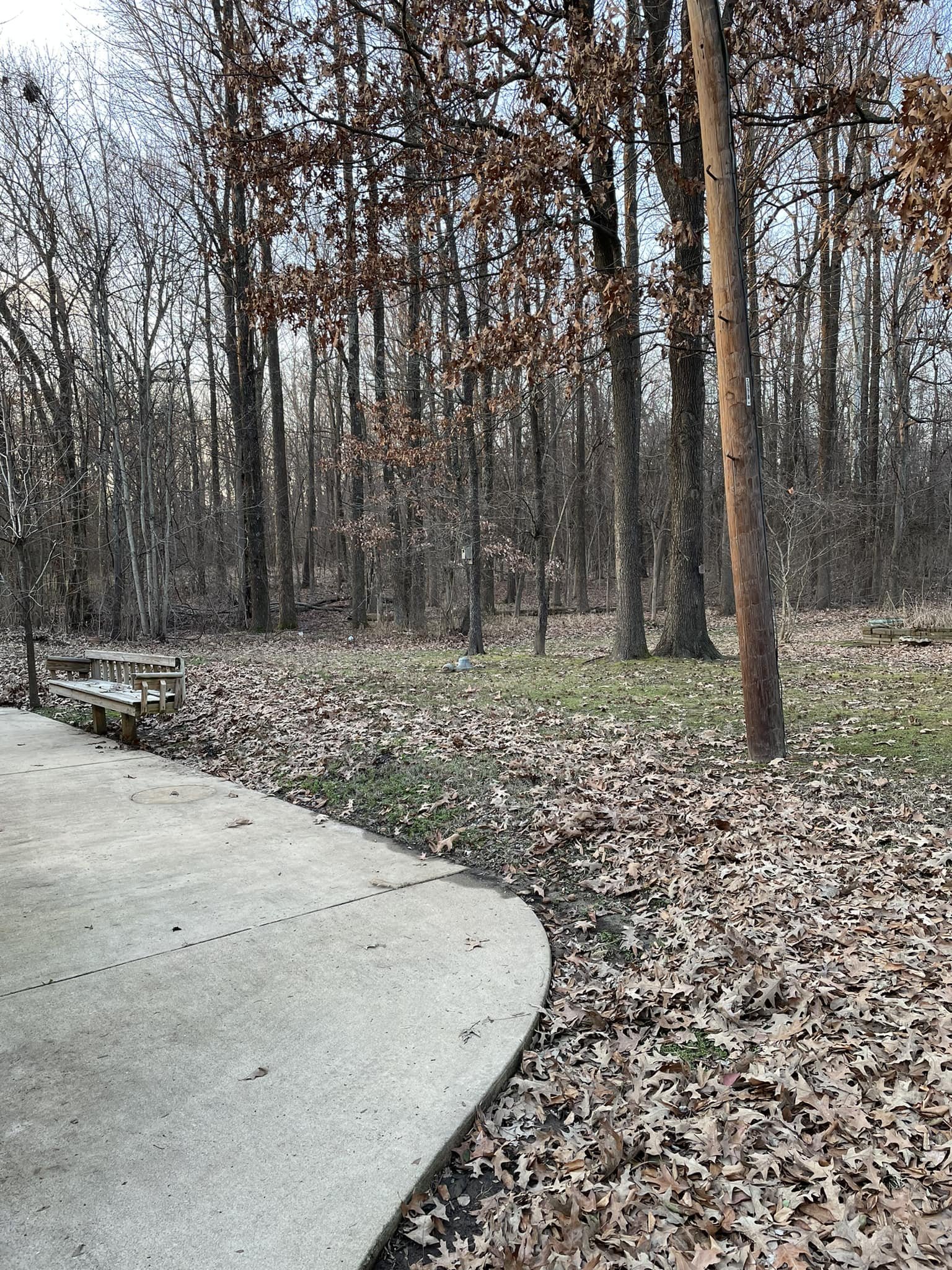 pic 5.jpg