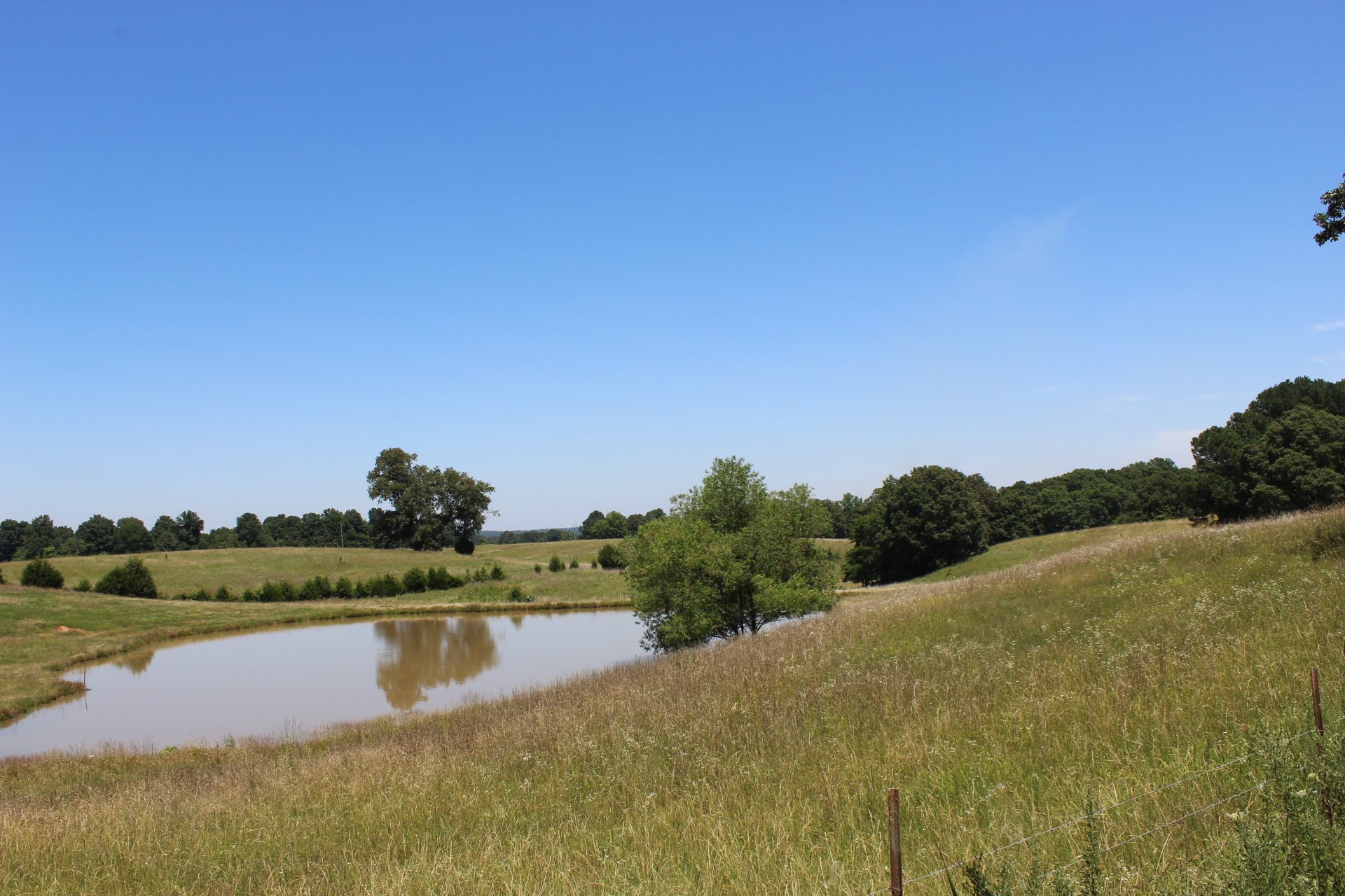 8.5 Acre Lot with pond Piggott, AR -- $68,900