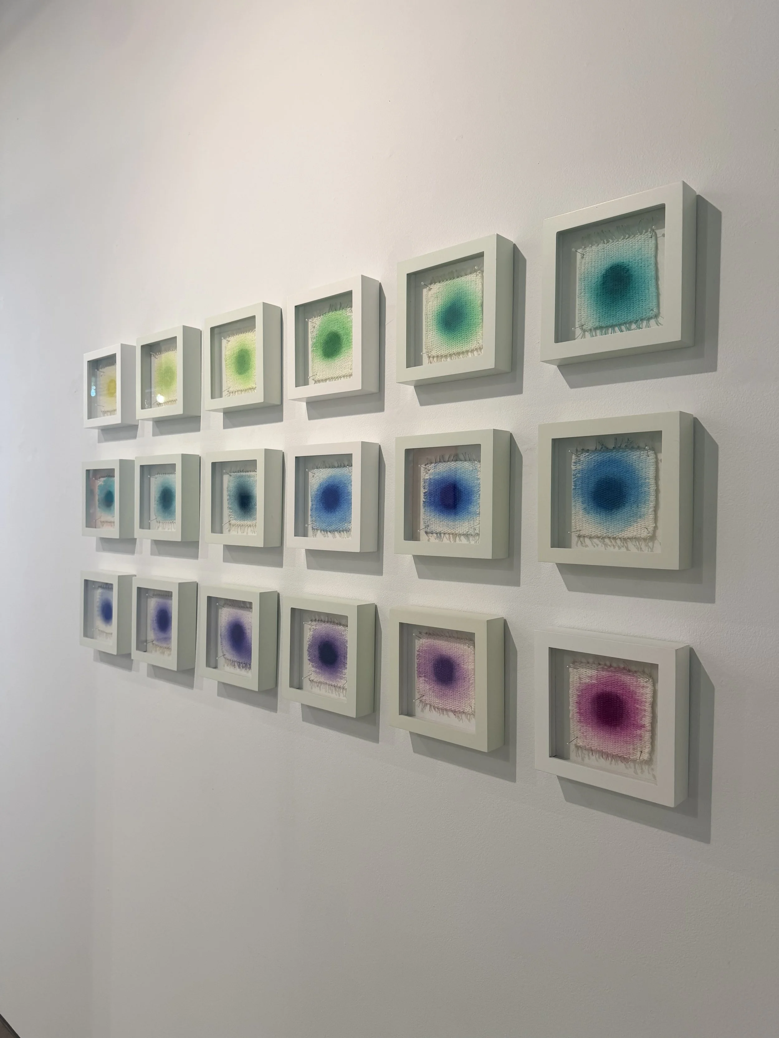 Color Fields Installation | ROY G BIV Gallery | 2026