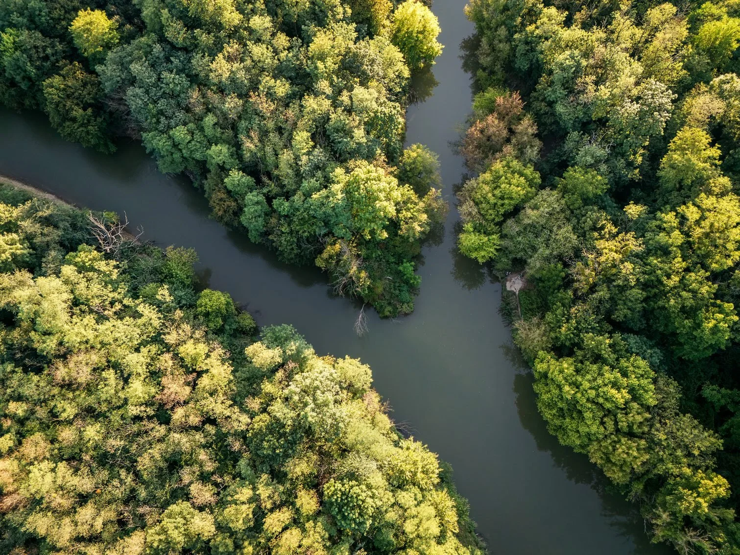 DJI_20250904182421_0535_D.jpg