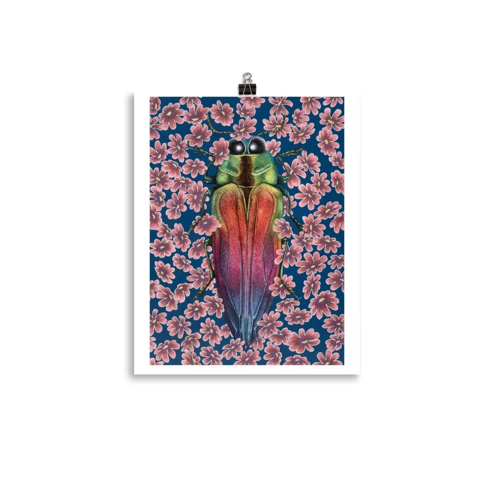 enhanced-matte-paper-poster-(in)-11x14-transparent-69ea7ce0f2131.jpg