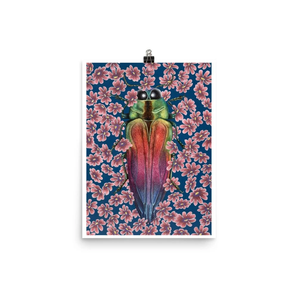 enhanced-matte-paper-poster-(in)-12x16-transparent-69ea7ce0f2c5e.jpg
