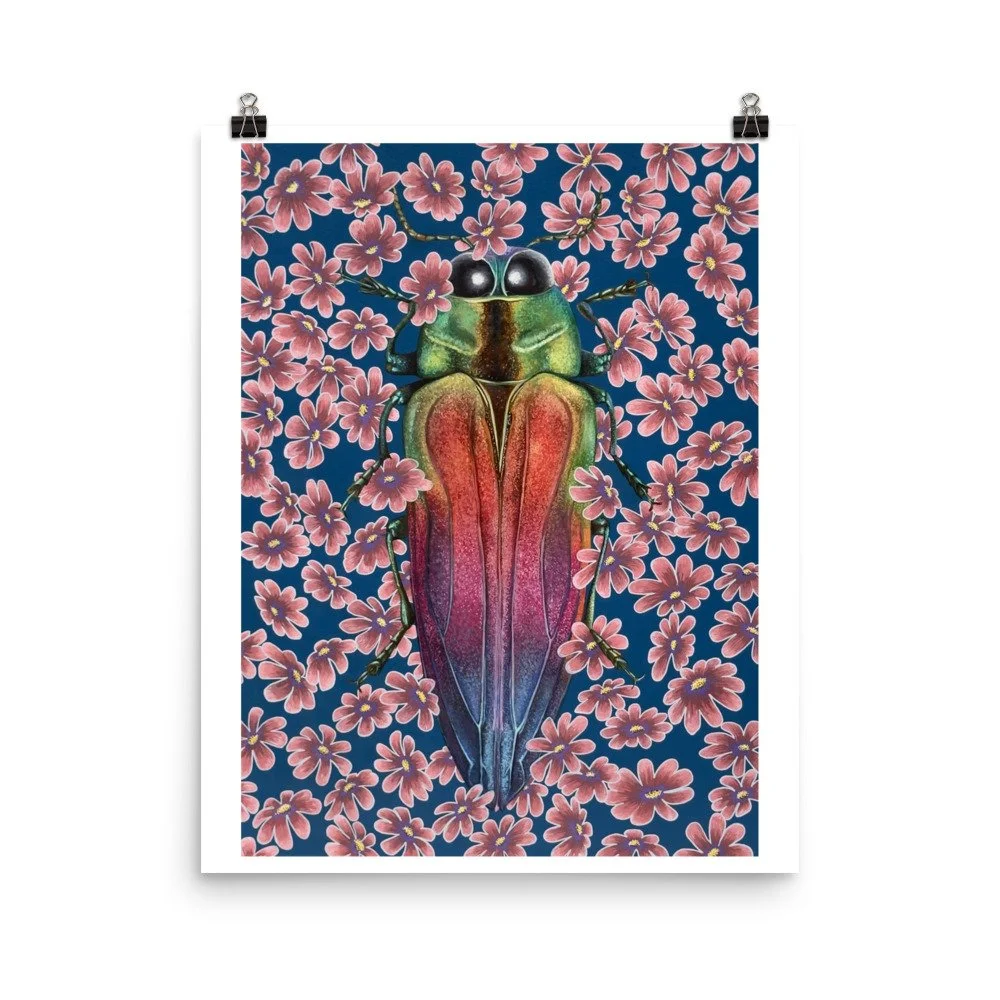enhanced-matte-paper-poster-(in)-16x20-transparent-69ea7ce0f2d2e.jpg