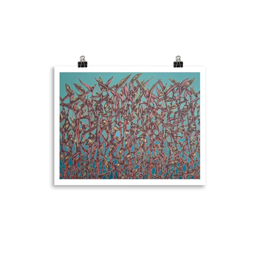 enhanced-matte-paper-poster-(in)-11x14-transparent-69ea98e2acf63.jpg