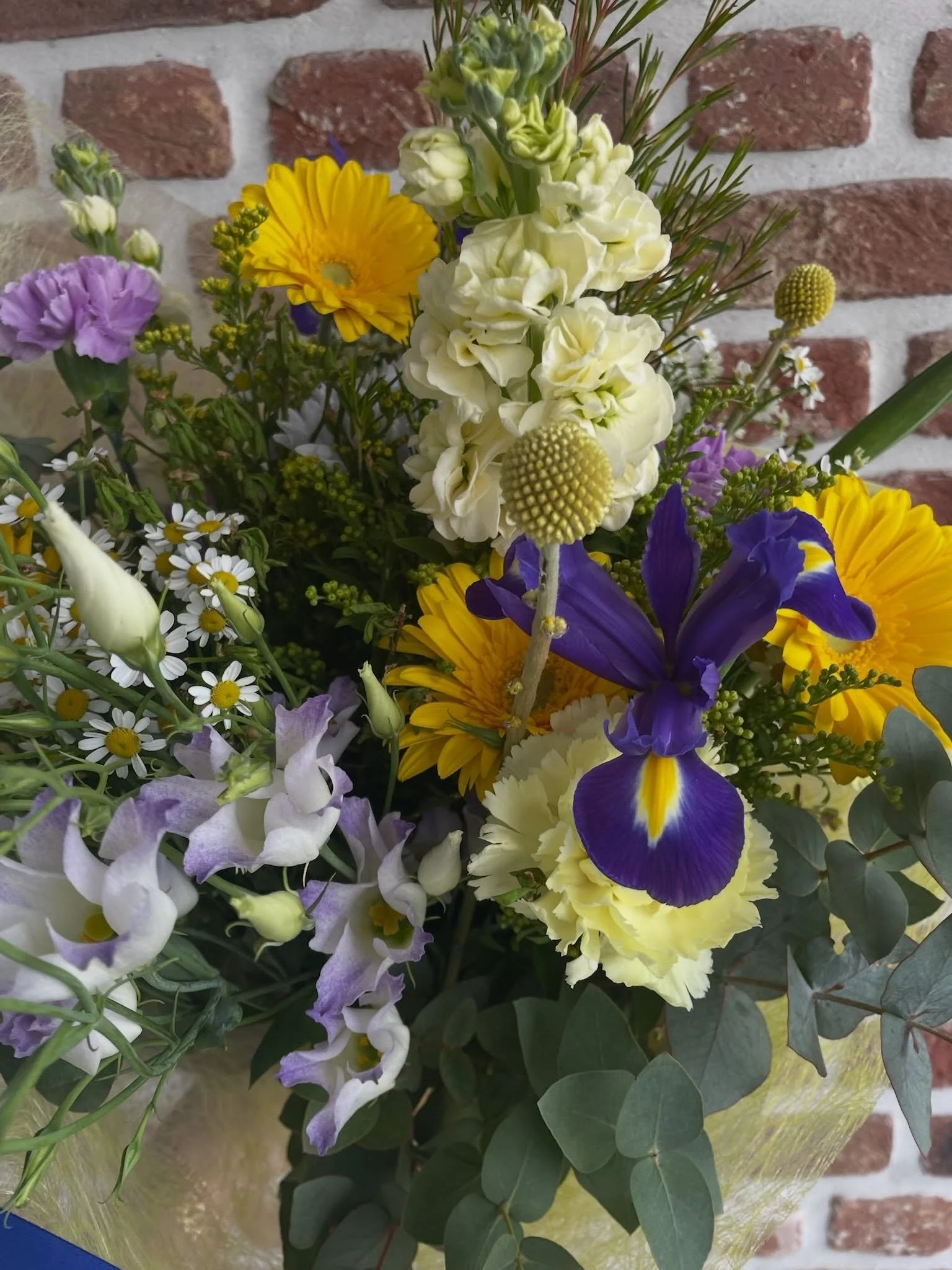 ⭐️un bouquet ensoleill&eacute;