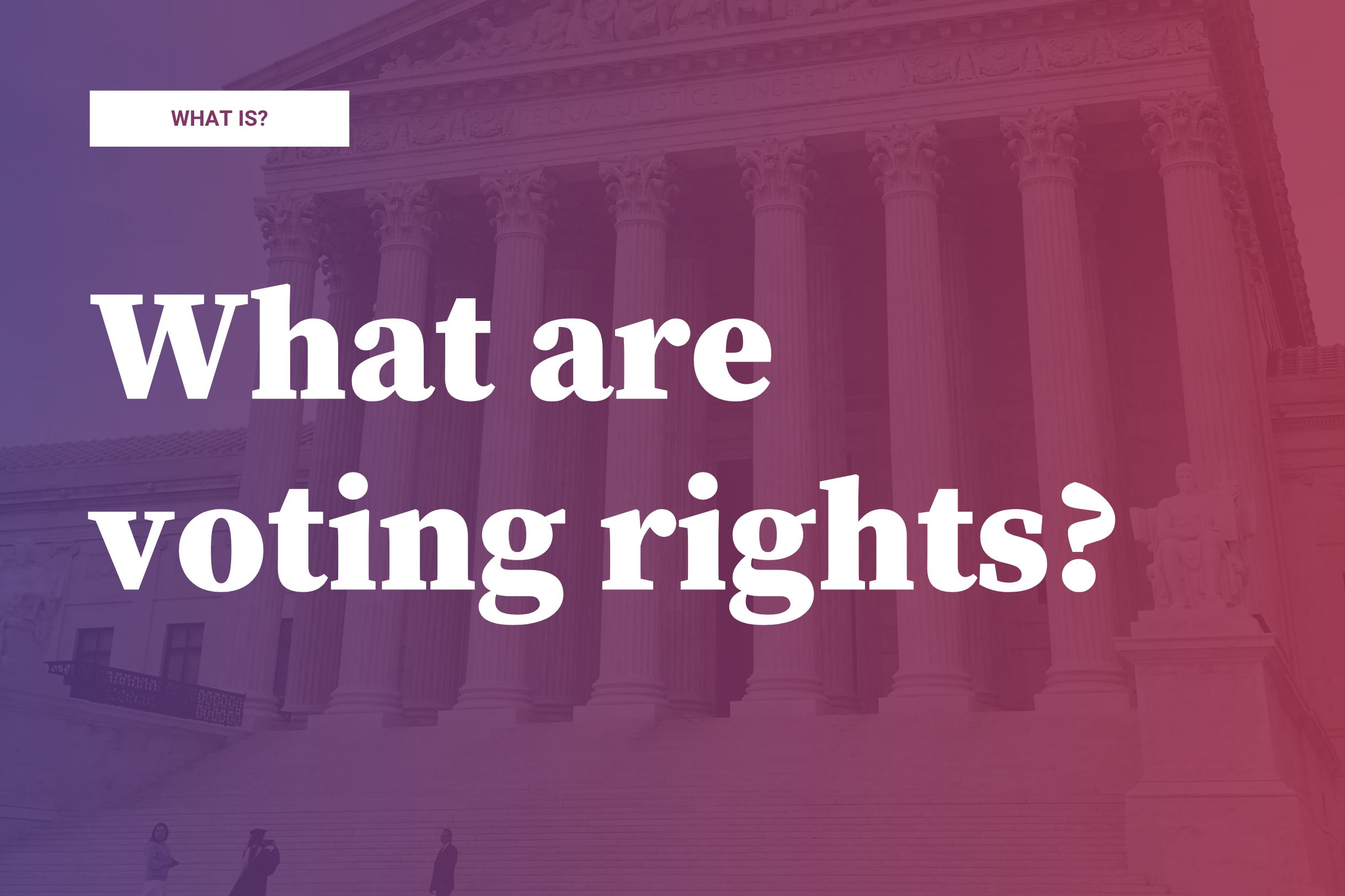 What are voting rights?