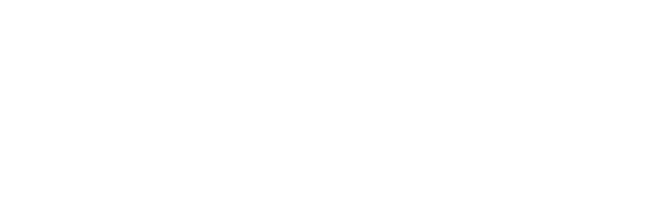 A More Perfect Union | Jewish Partnership for Democracy