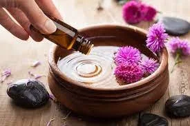 aroma website.jpg