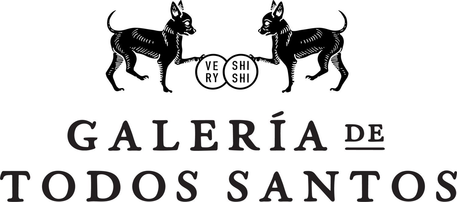 Galeria de Todos Santos