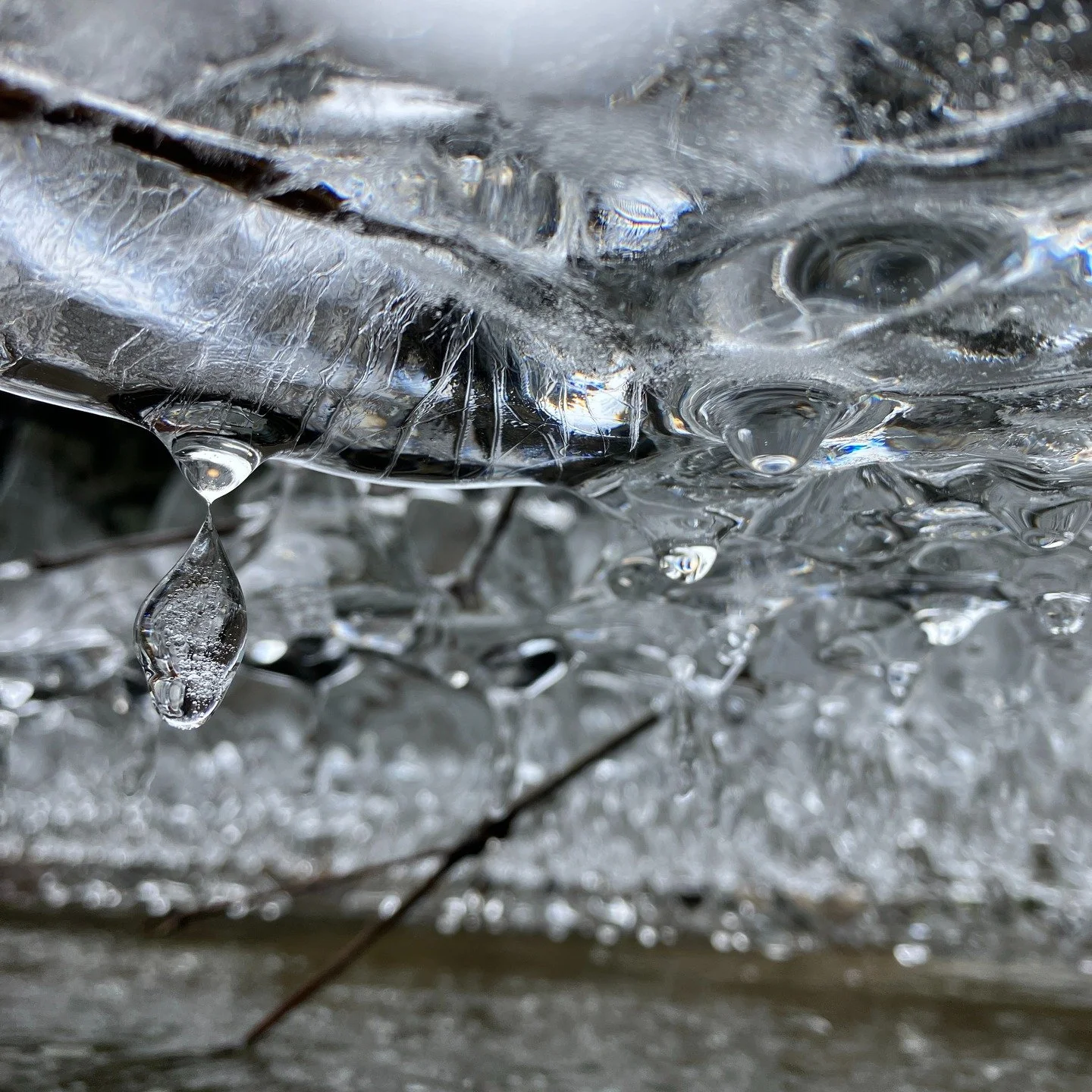 The witness of winter washes over me,
wraps the old world in memory,
remains, when the new runs rushing on. 

🌬

Things that ground me, 
center me, 
draw me into peace,
wrap me up,
refill me,
remind me,
re-mind me,
re-body me,
reality me,
realign me