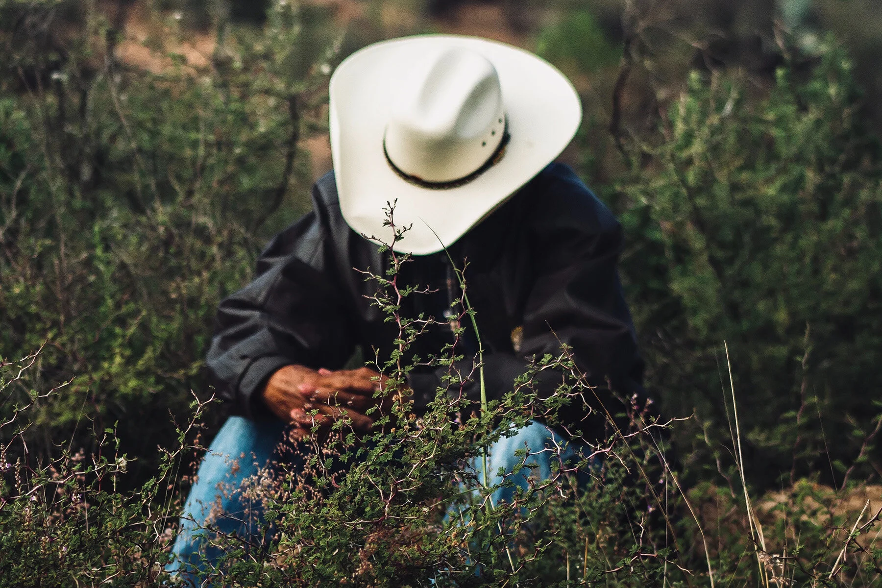 Black Farmers Await Discrimination Settlement