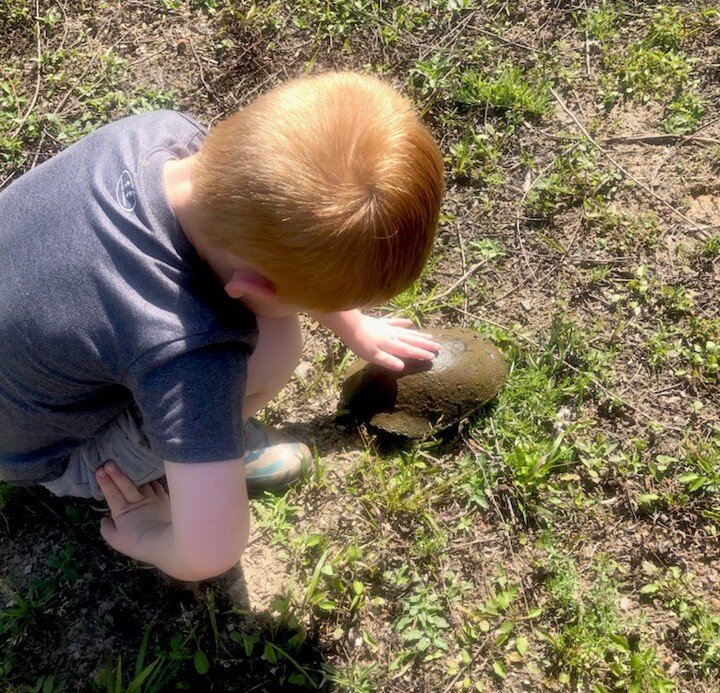 If it has four legs and crawls on the ground, you better believe Siler is trying to catch it.