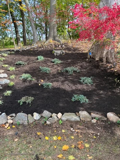 After. Old Greenwich, CT