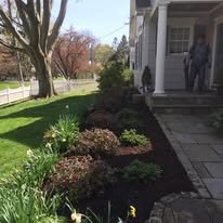 New small shrubs and mulch