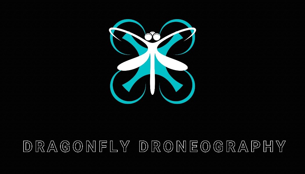 Dragonfly Droneography 