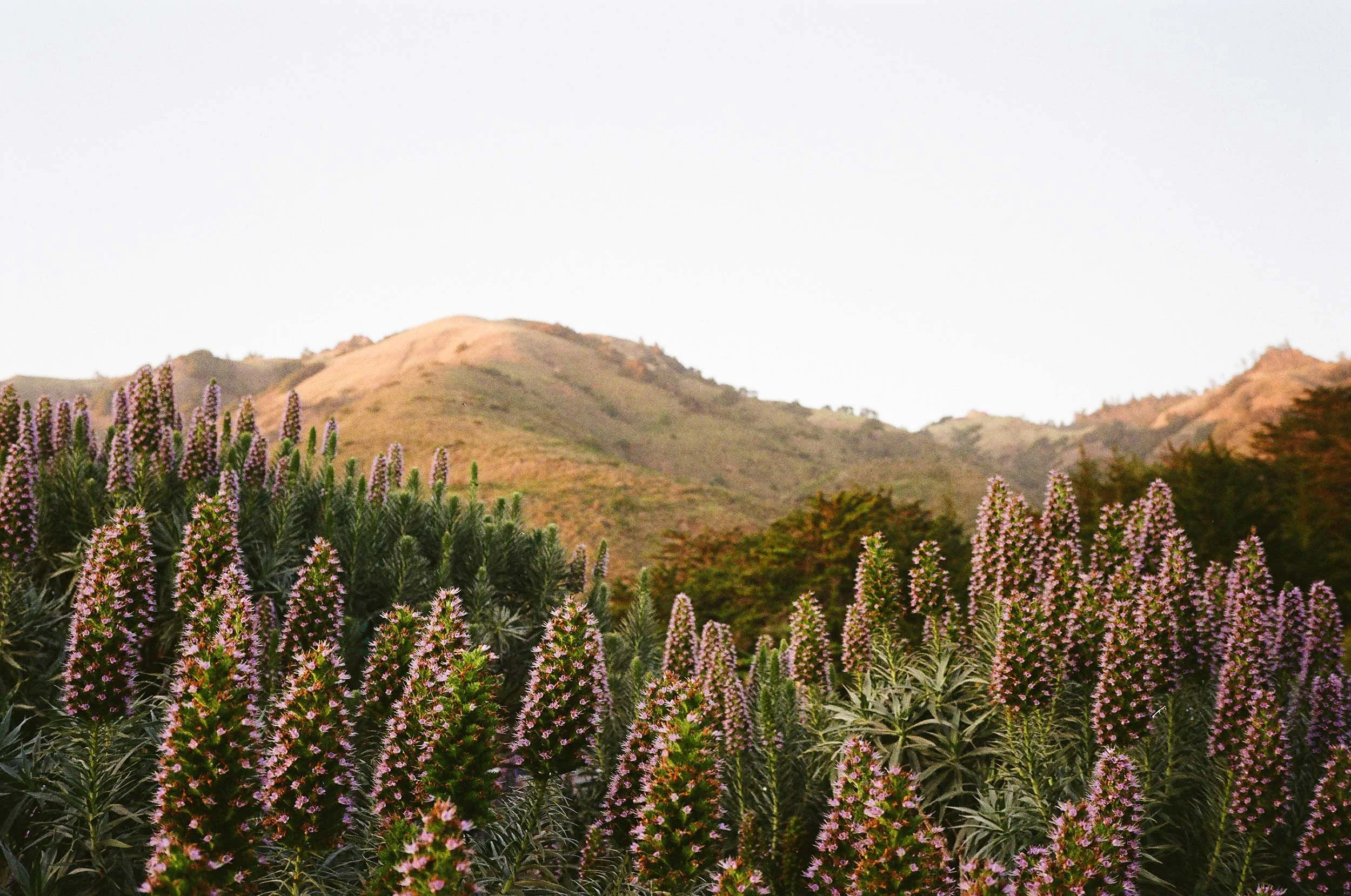 ON_HO26_ORIGINALS_LOCATION_HIGH_169.jpg