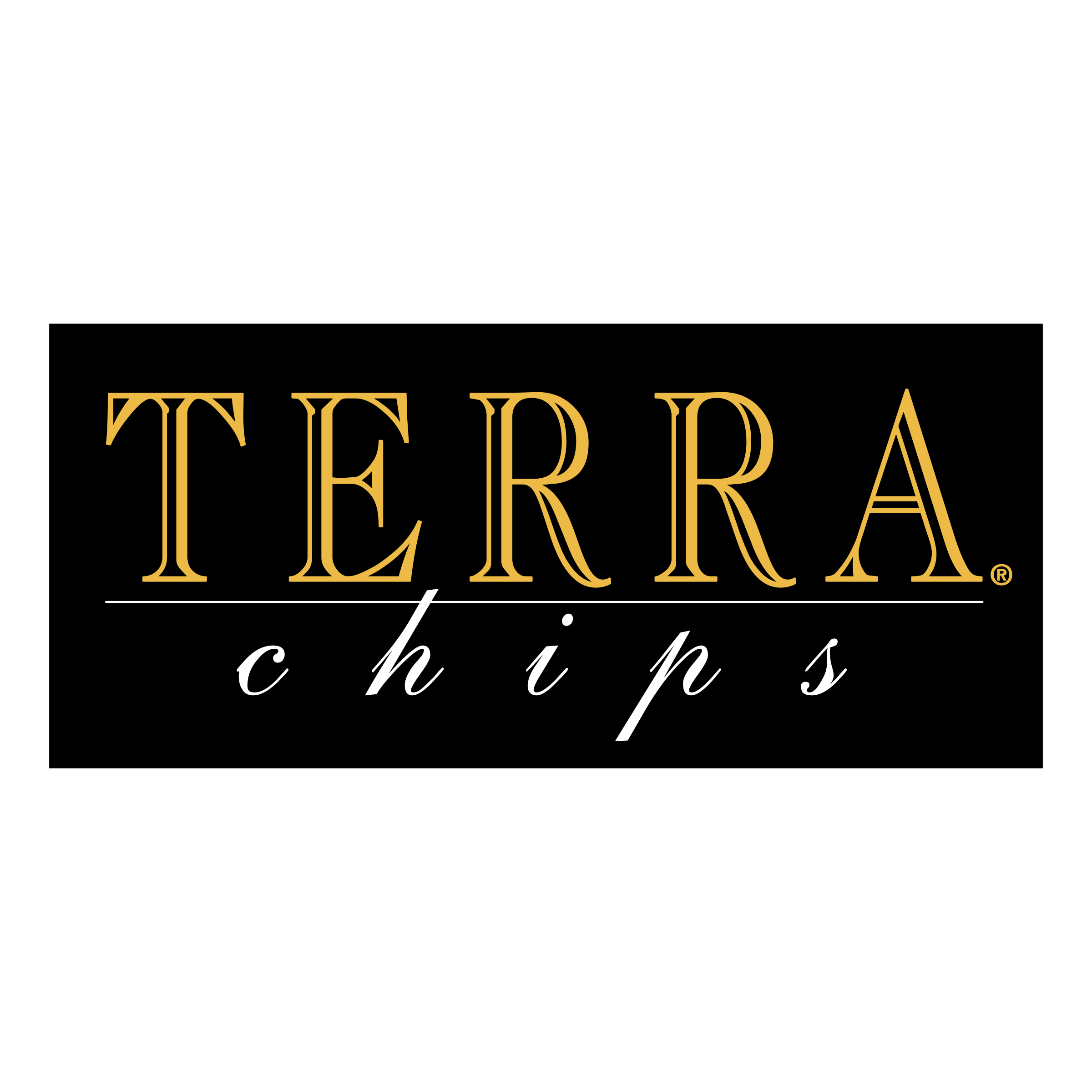terra-chips-logo.png