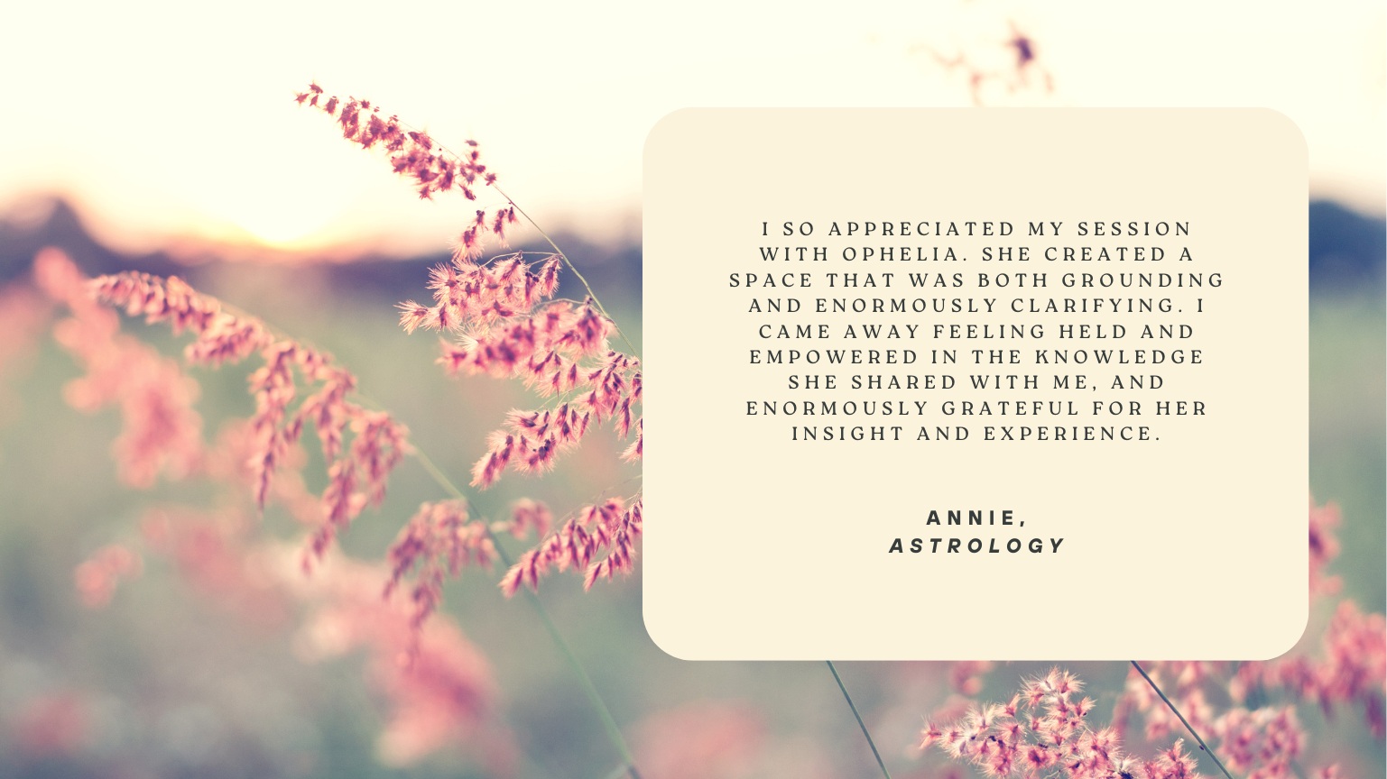 A blurred background of pink flowering plants at sunset with a white text box containing an appreciation note about Ophelia and astrology.