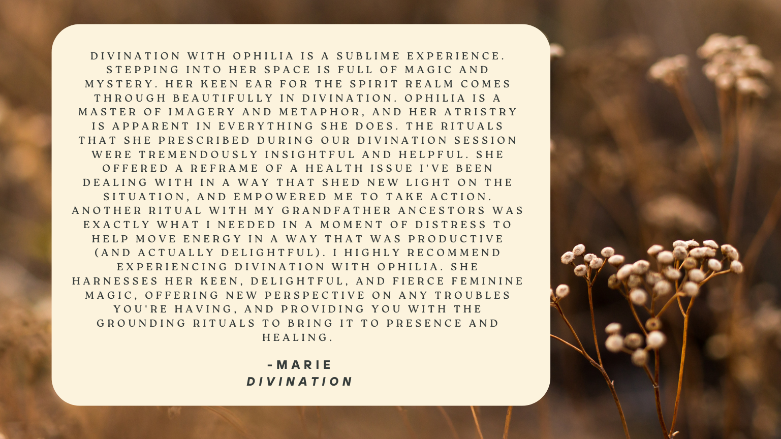 A graphic with a quote about divination with Ophilia, set against a blurred natural background with small dried flowers. The quote discusses the experience of divination with Ophilia, her imagery and metaphorical mastery, and her feminine magic, concluding with a recommendation to experience her divination.