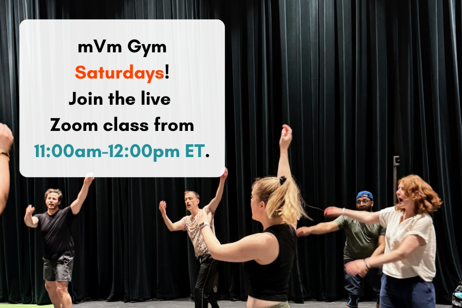 mVm Gym - Saturday